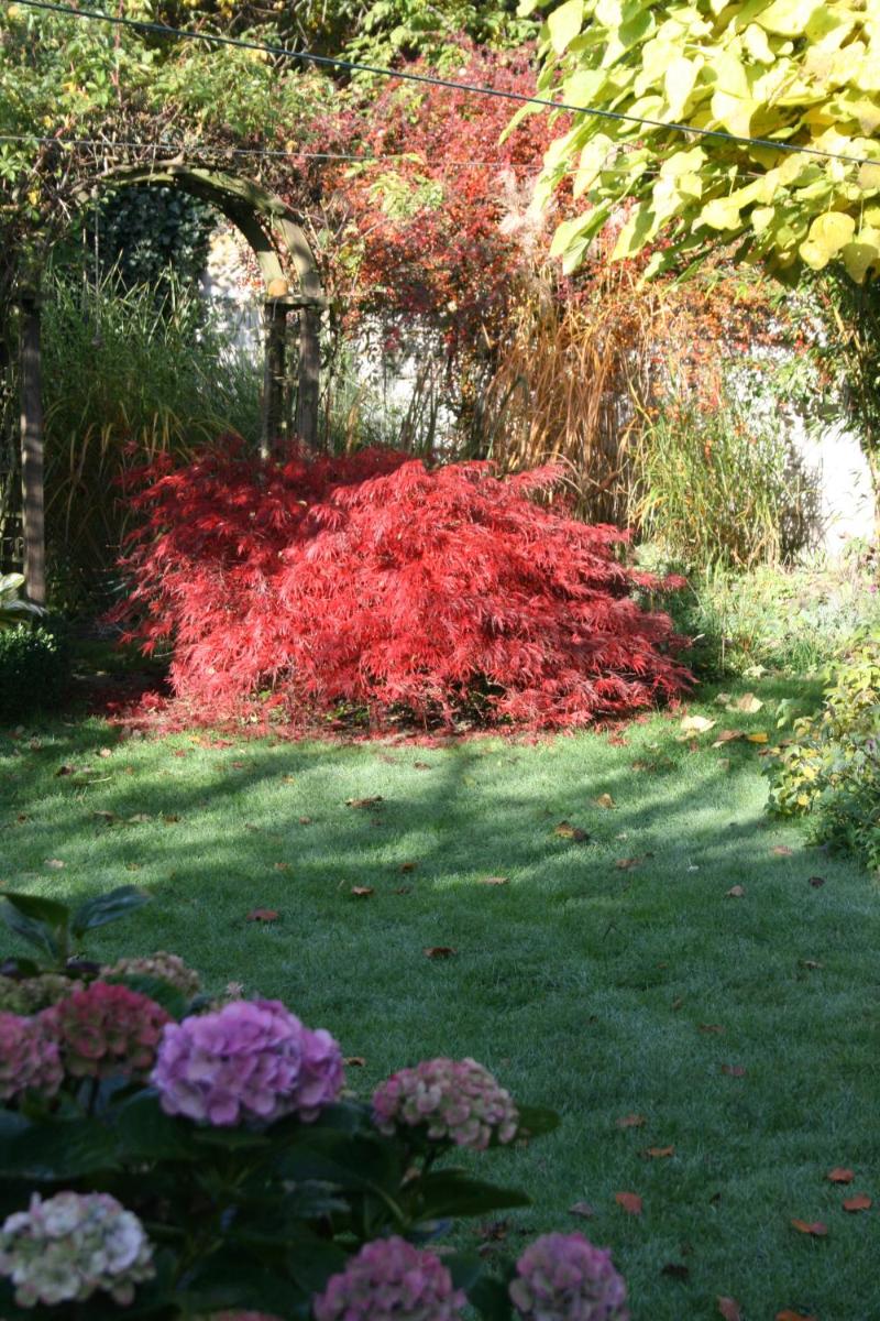 Photo 56