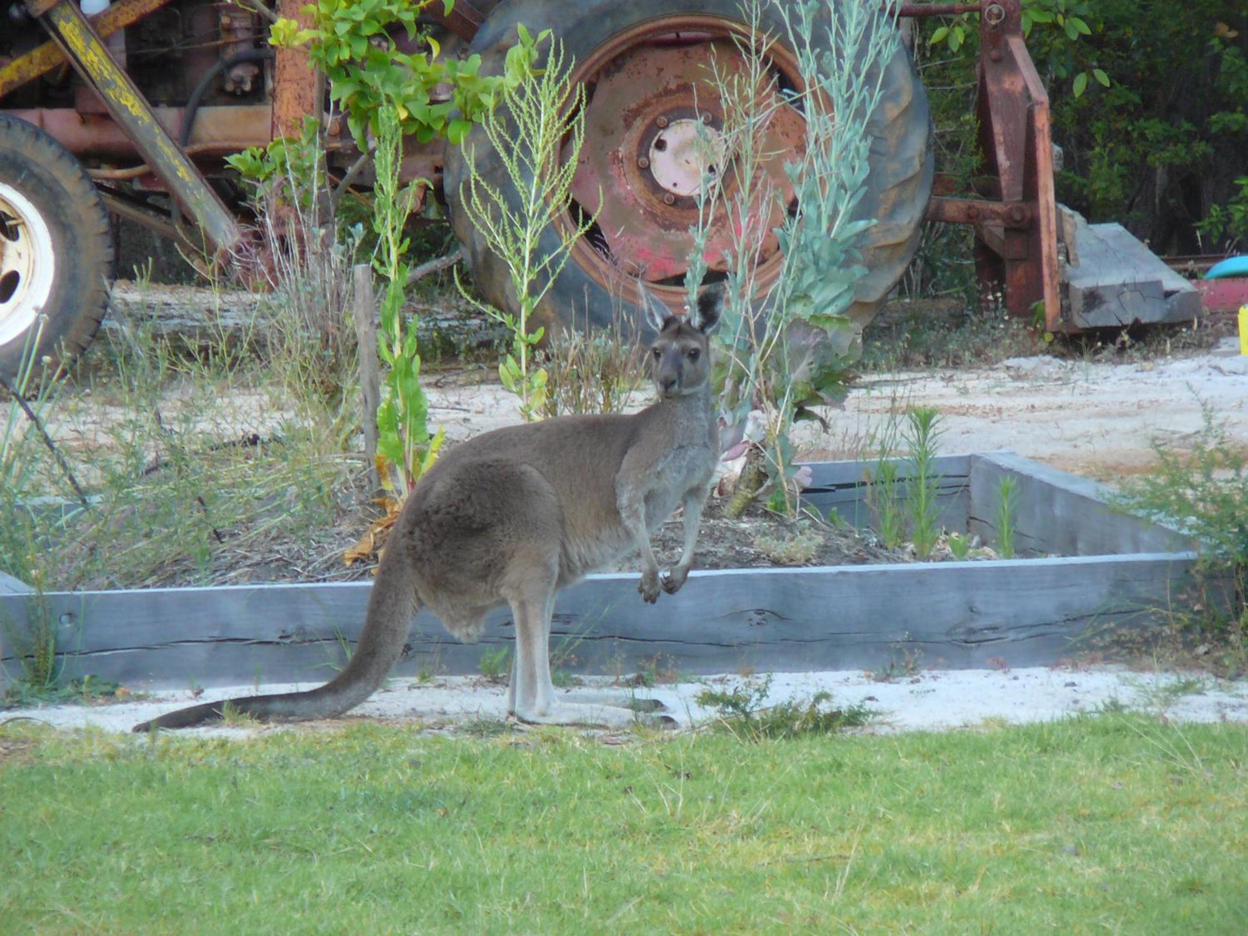 Nannup Bush Retreat