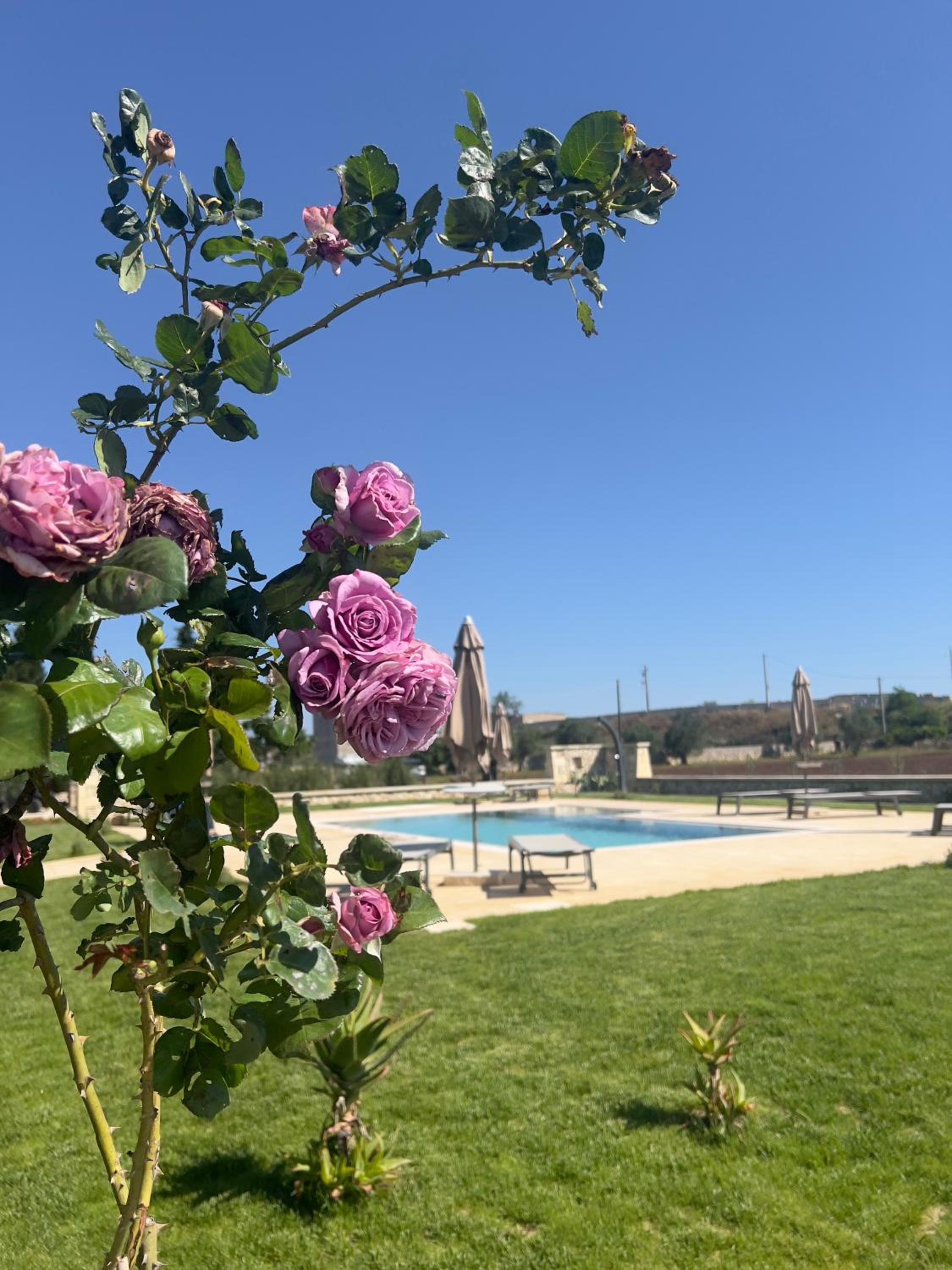 Masseria Casina Montana, photo 13