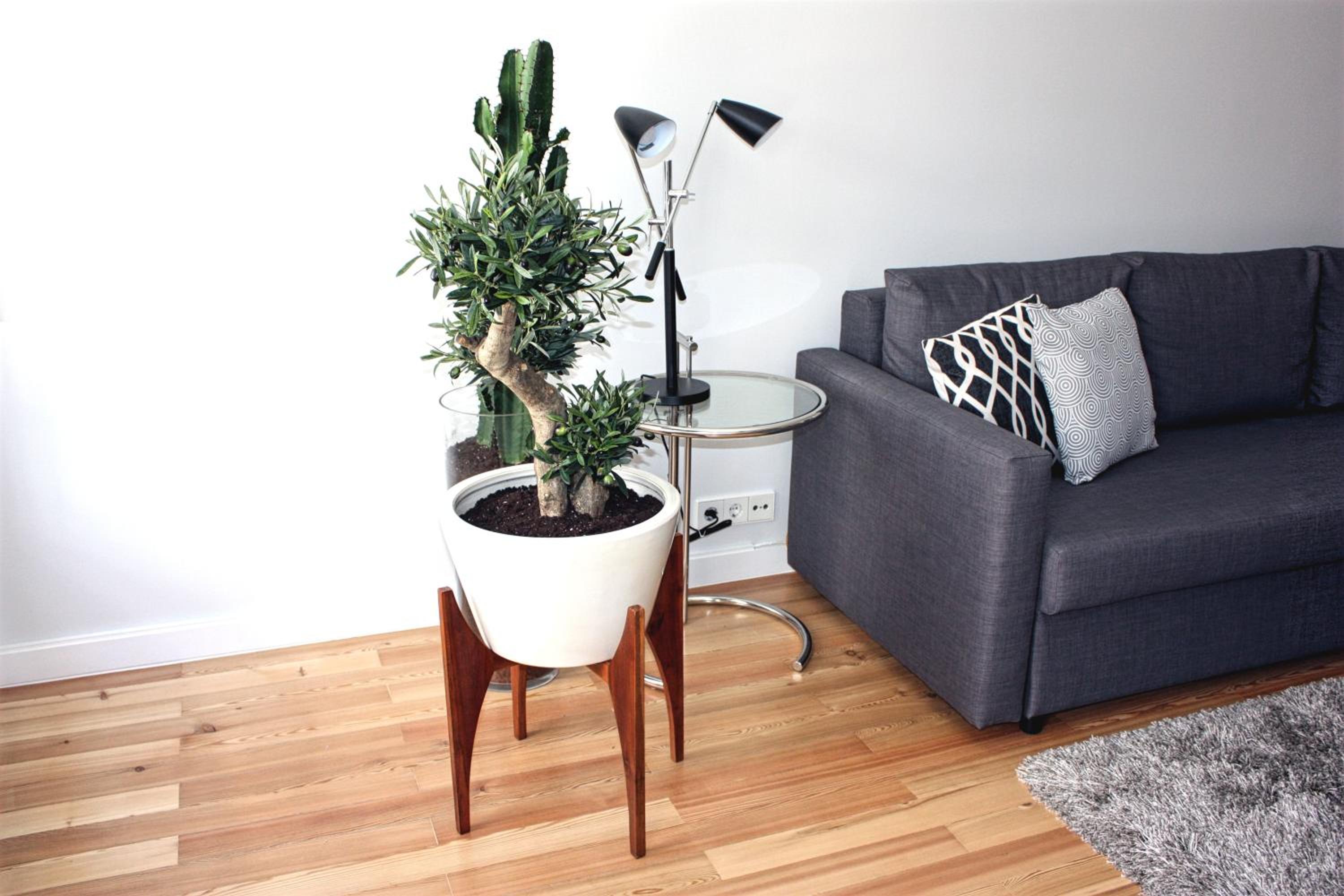 Baixa Charming Apt. | Rosa 59 view 5