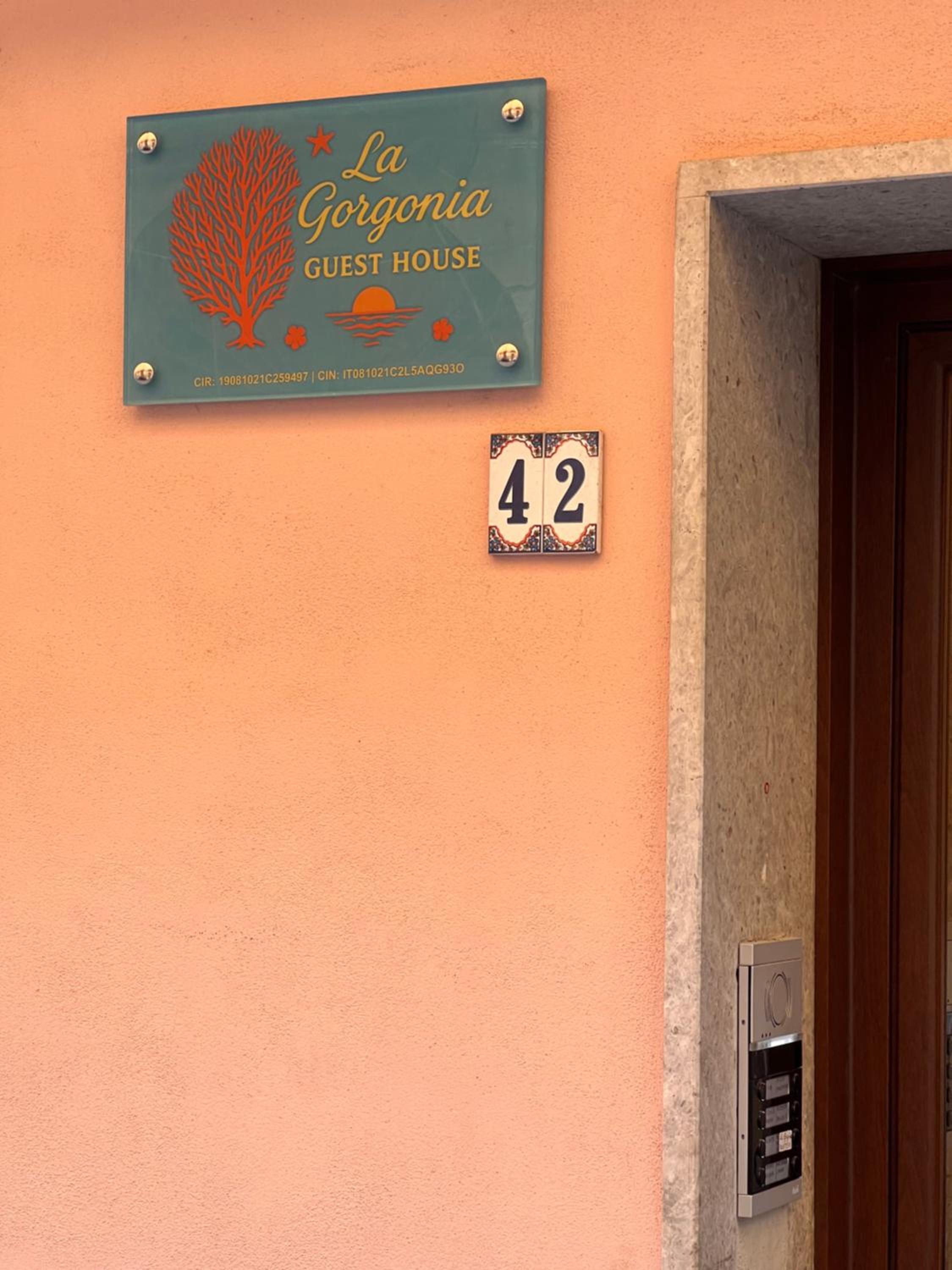 La Gorgonia