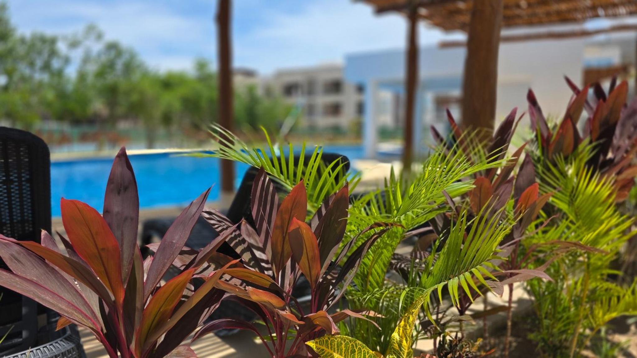 New Casa Flores in Polígono Sur with pool