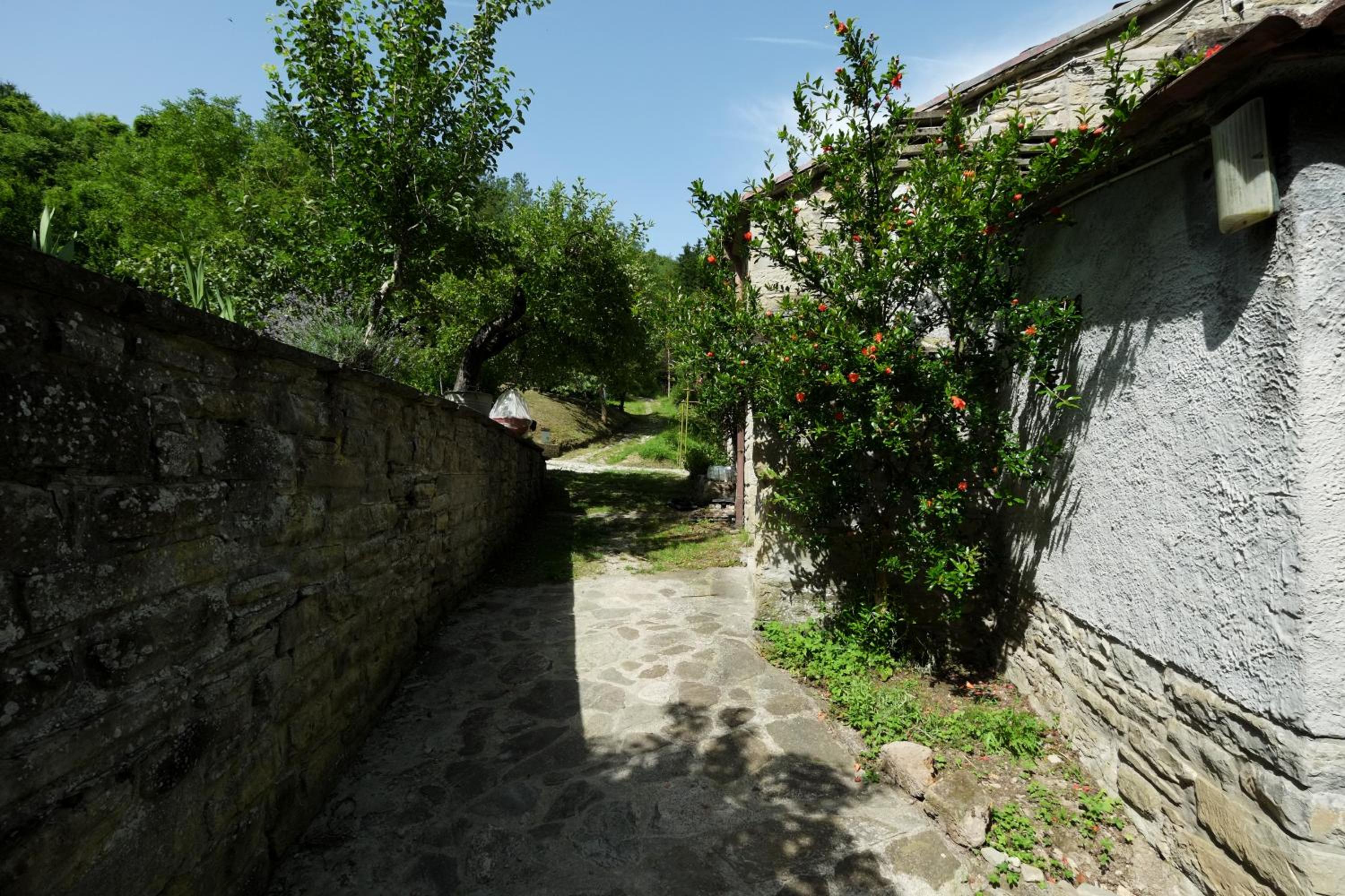 Agriturismo Mulino di Culmolle