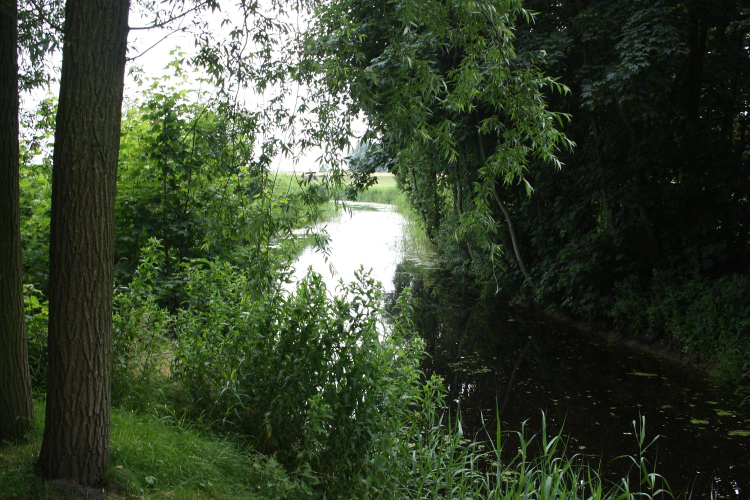 Apartmenthaus Seestern