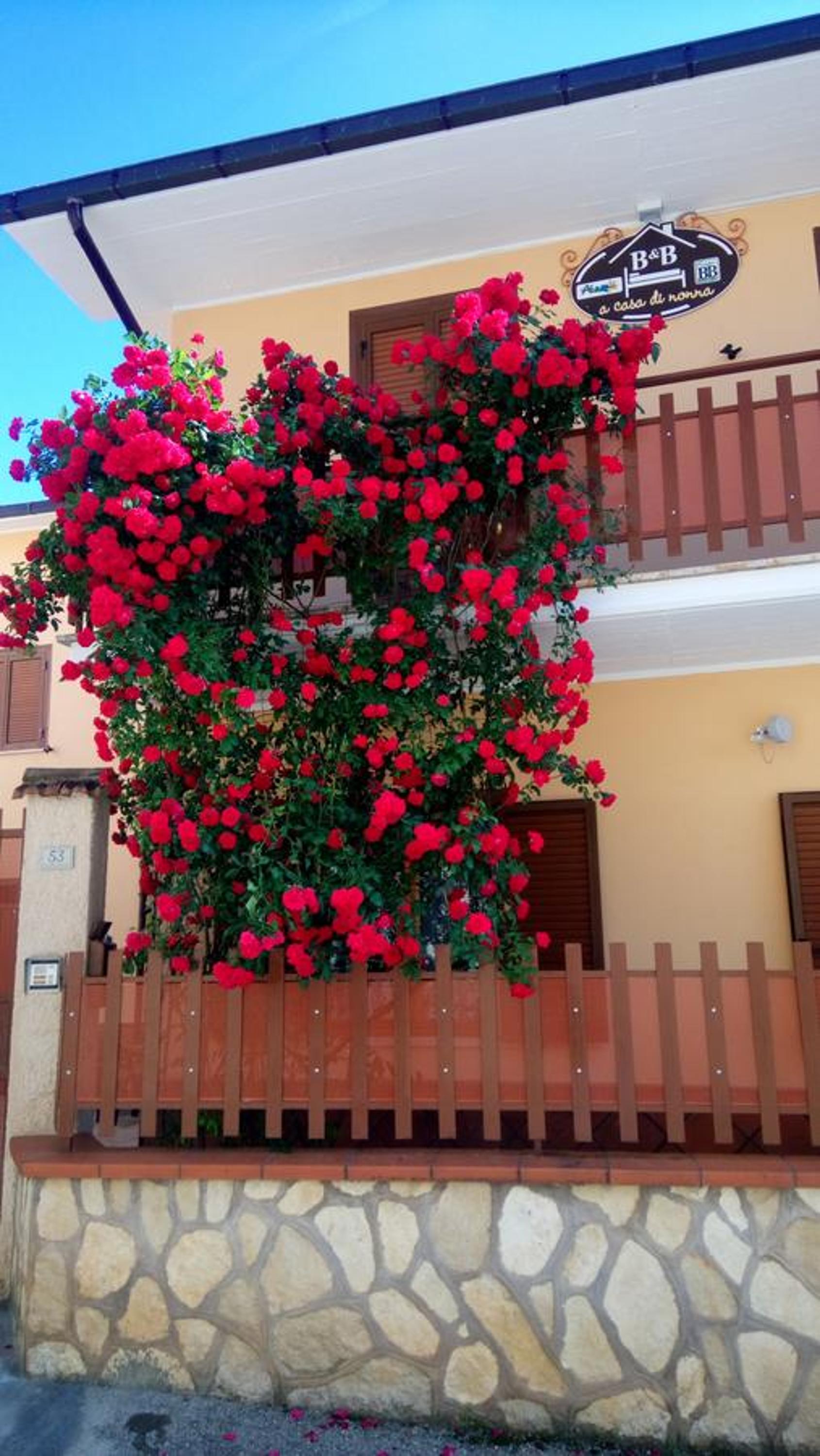 Photo 71