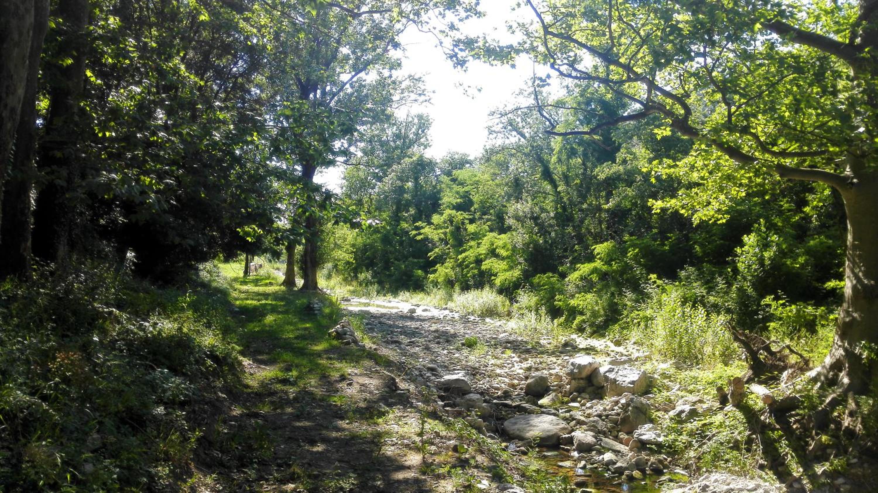 Domaine de Rochebelle