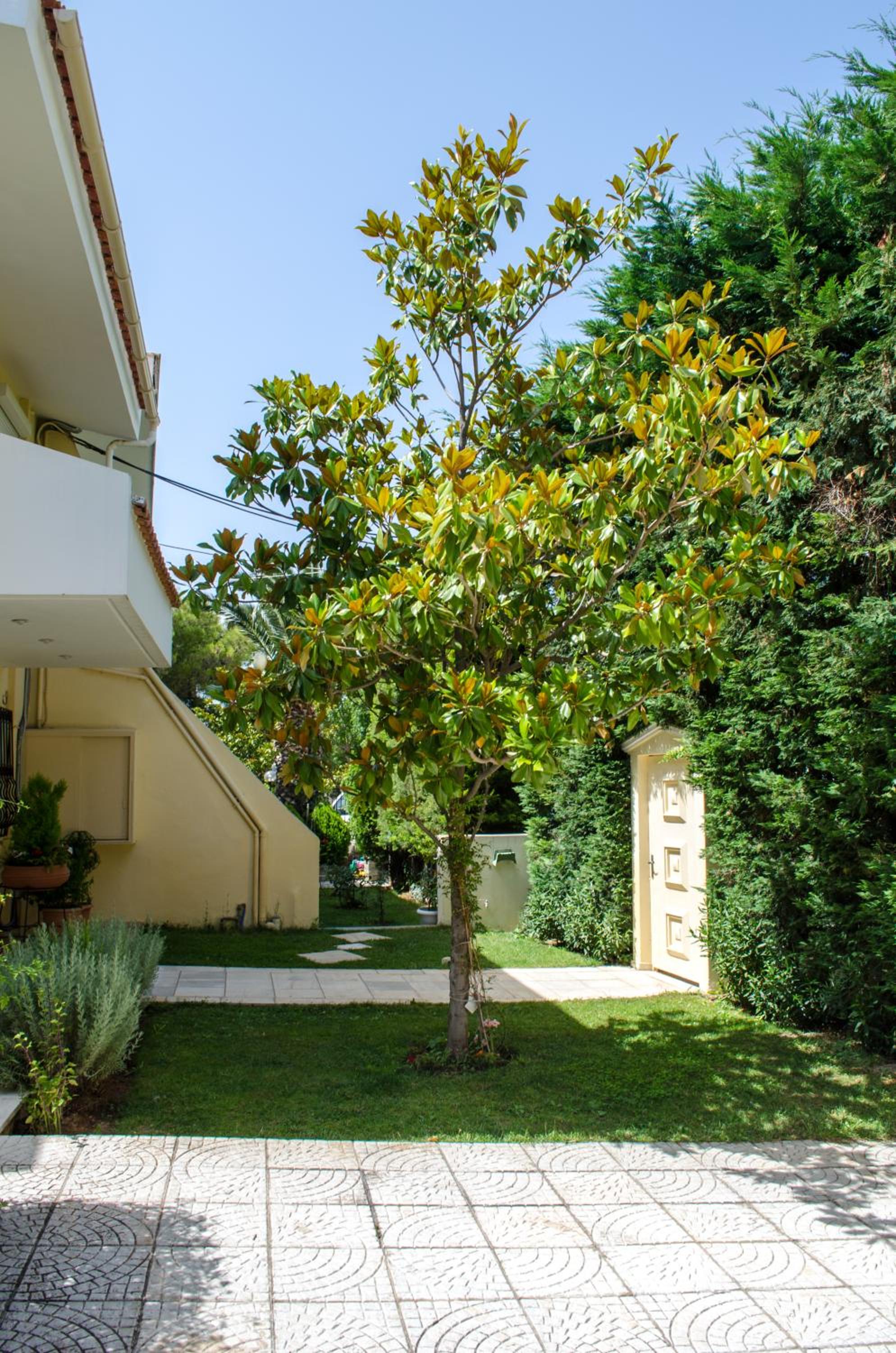 Apartments Nina