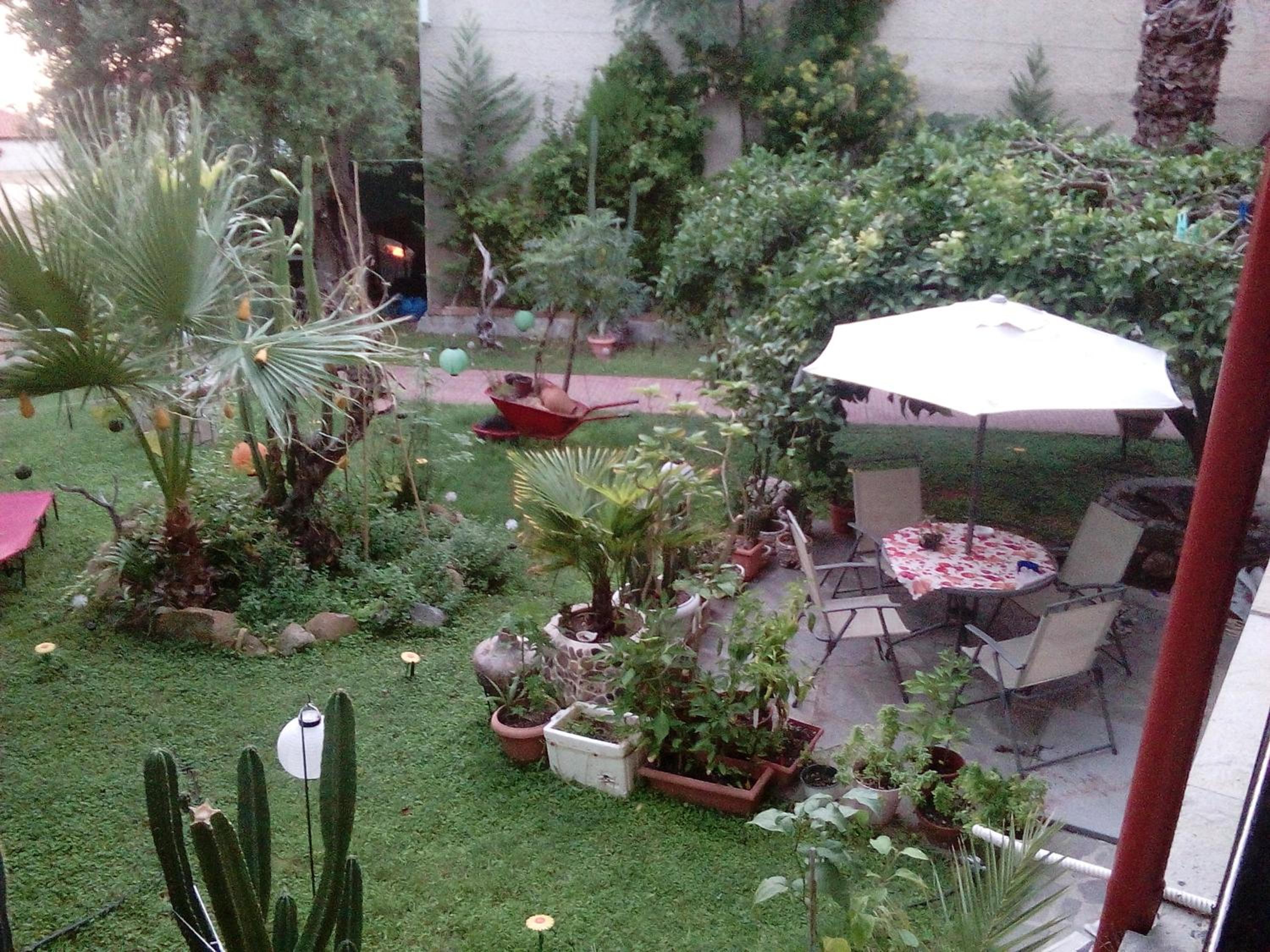 Photo 28