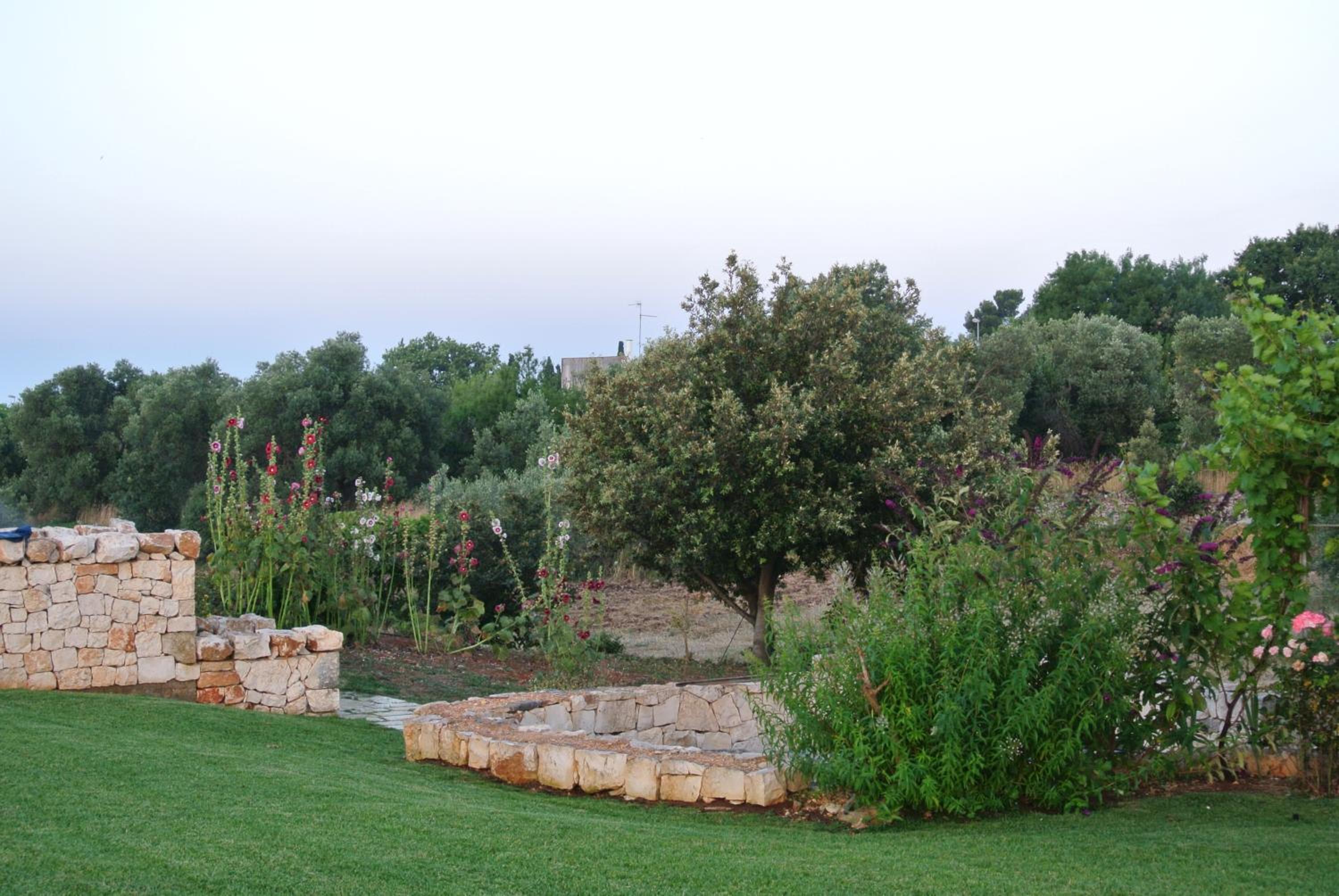 Photo 20
