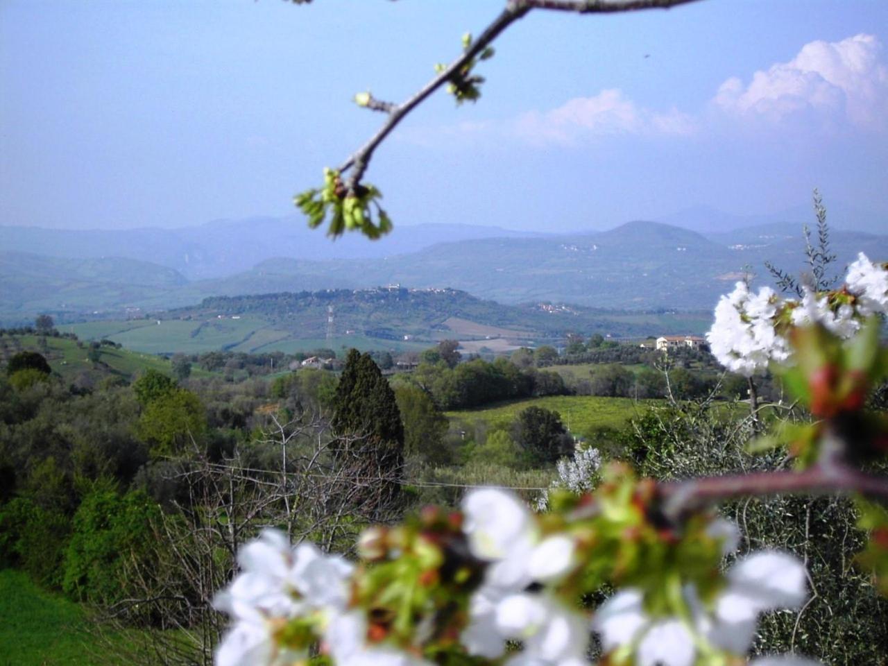 Agriturismo Poggio del Drago