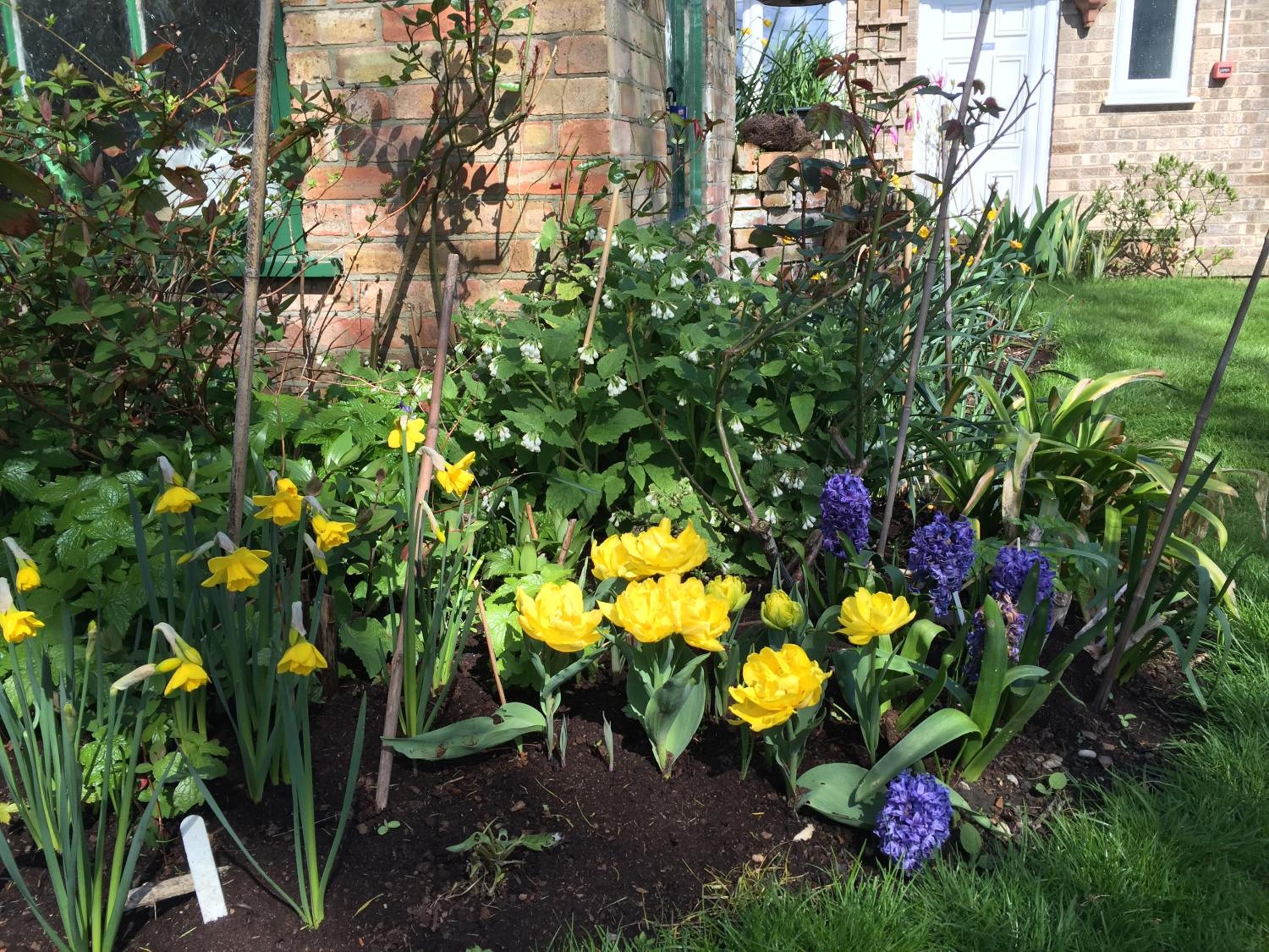 Kings Lynn Vacations - Fairlight Lodge - Property Image 49