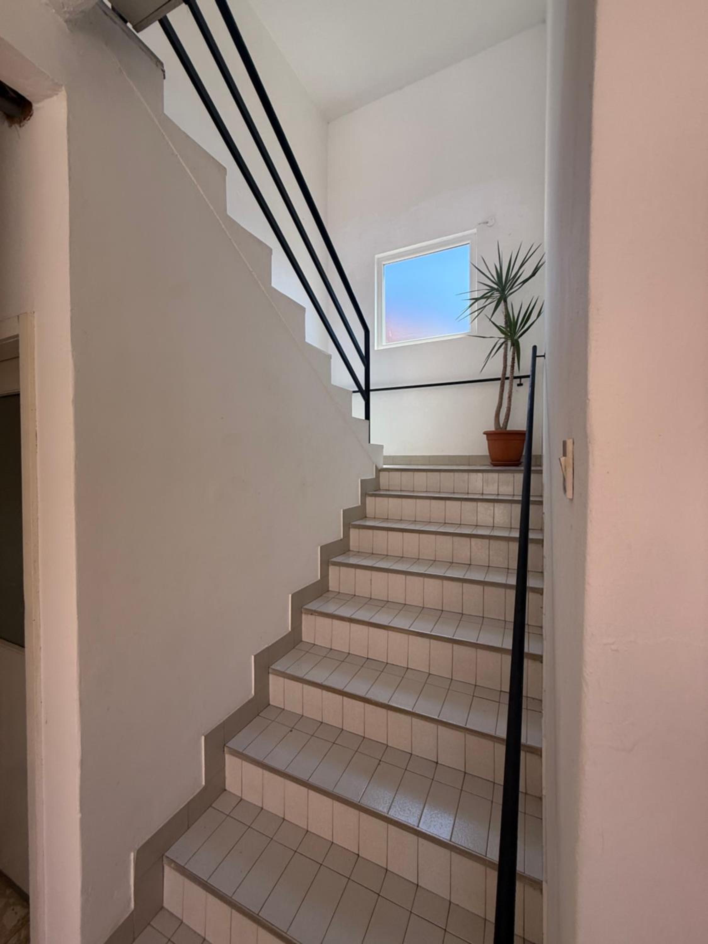 Ivica House