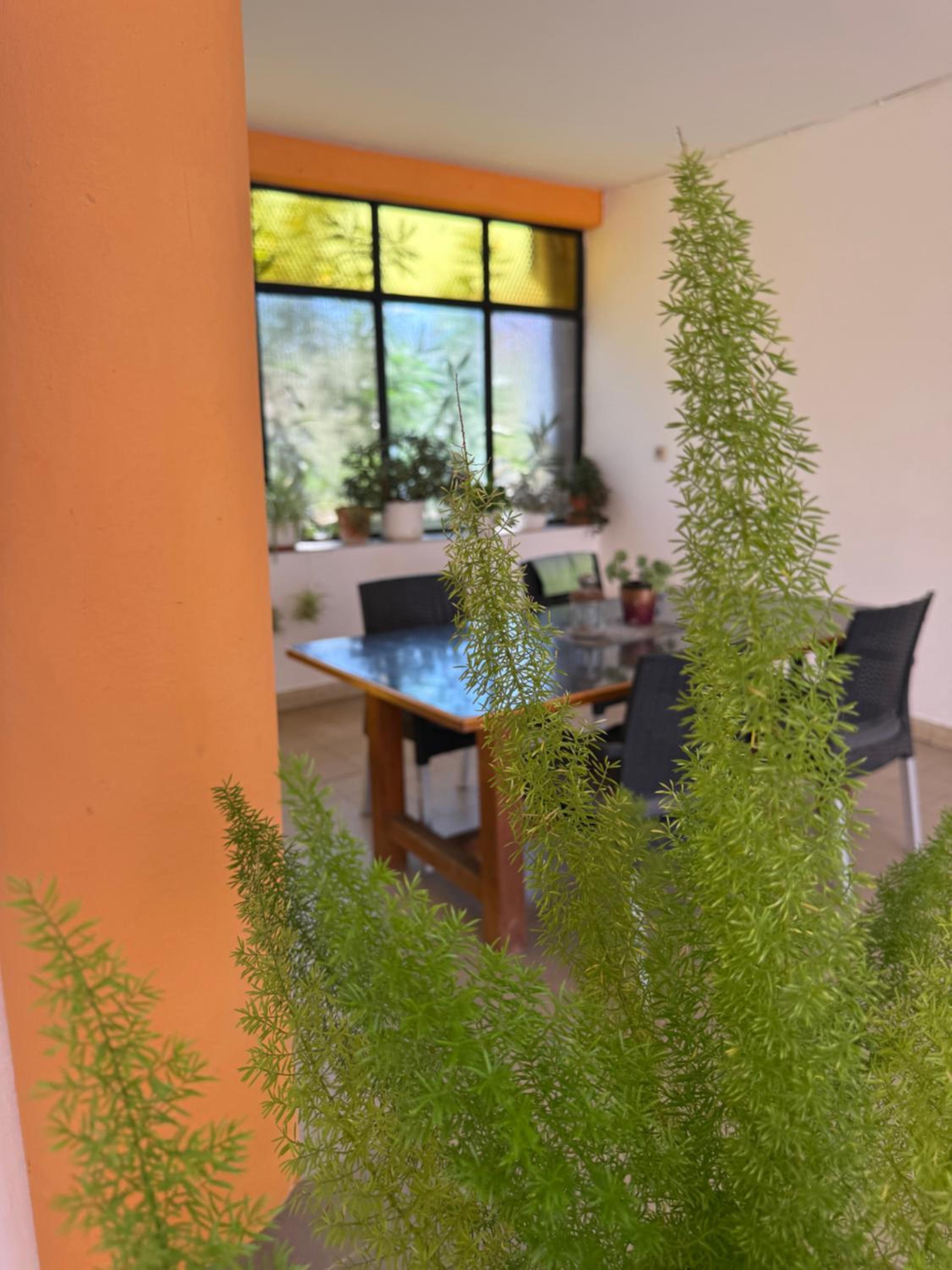 Ivica House