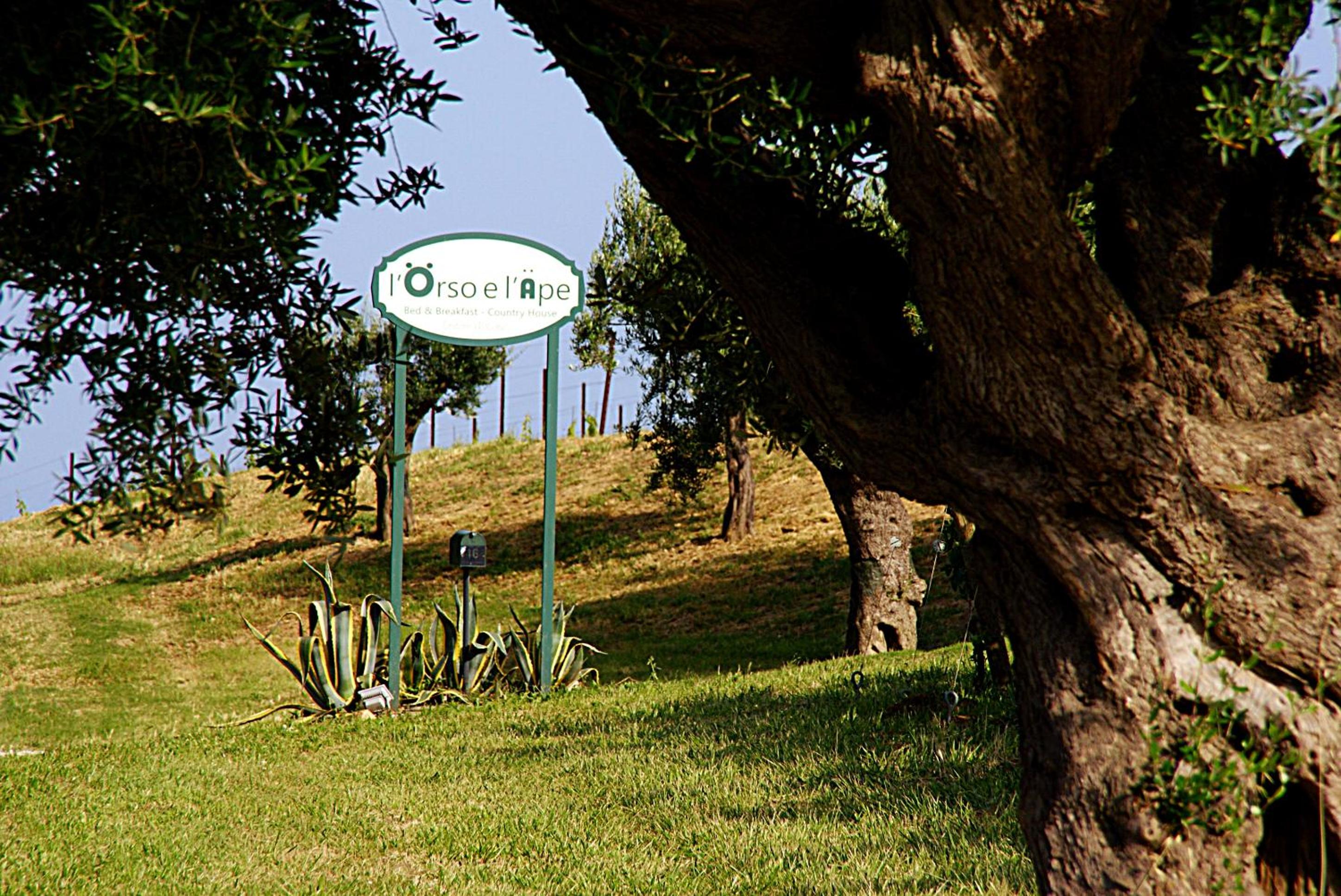 L'Orso e L'Ape B&B view 4