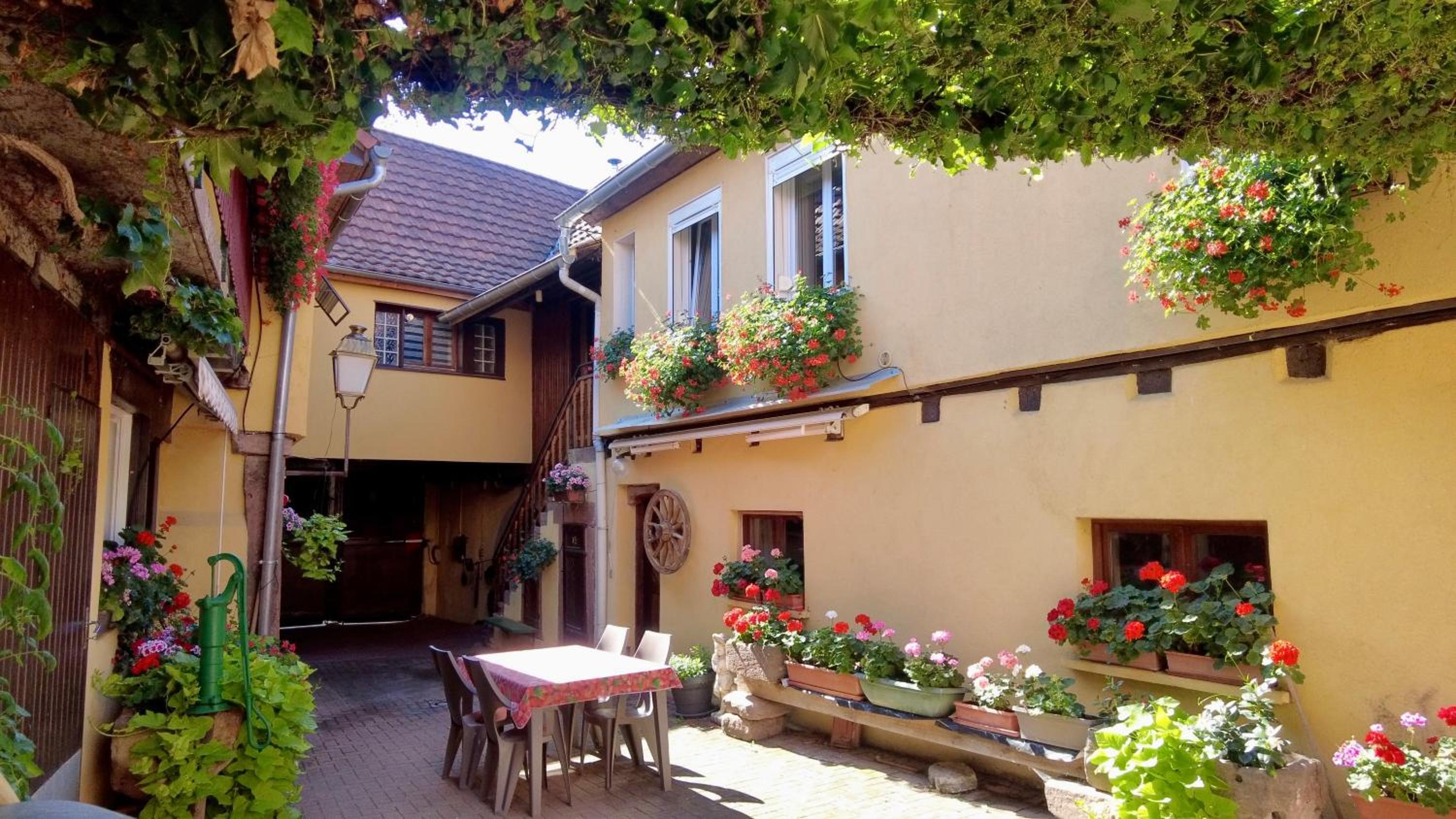Gîte du Vignoble