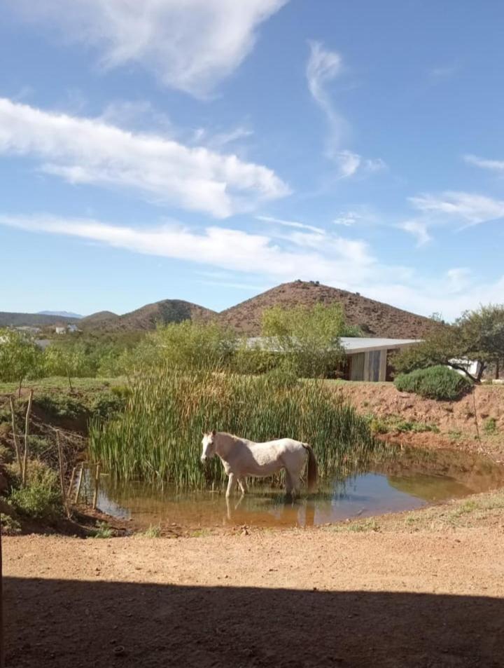 Rocky Sands - Klein Karoo R62