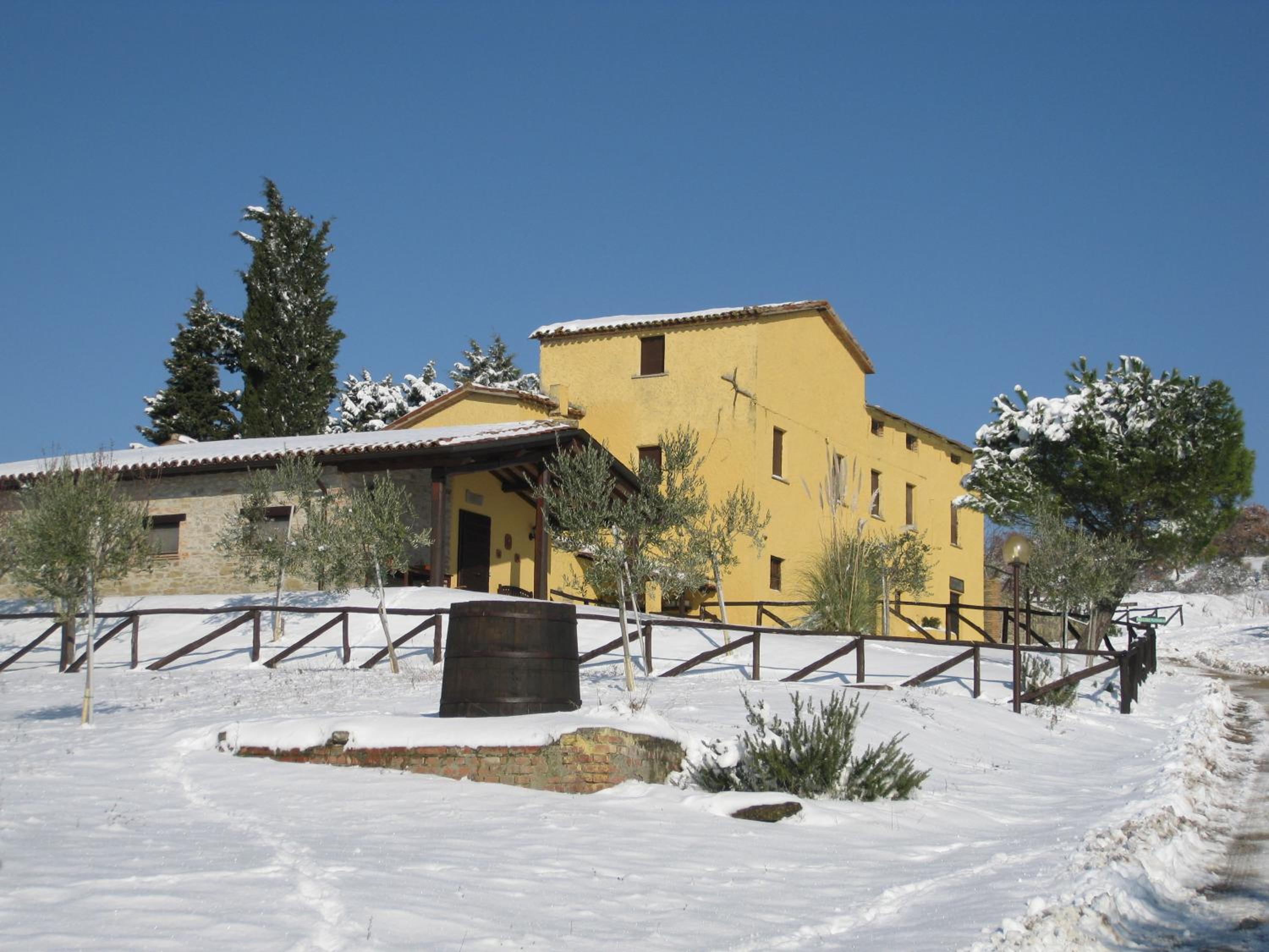 Photo 19