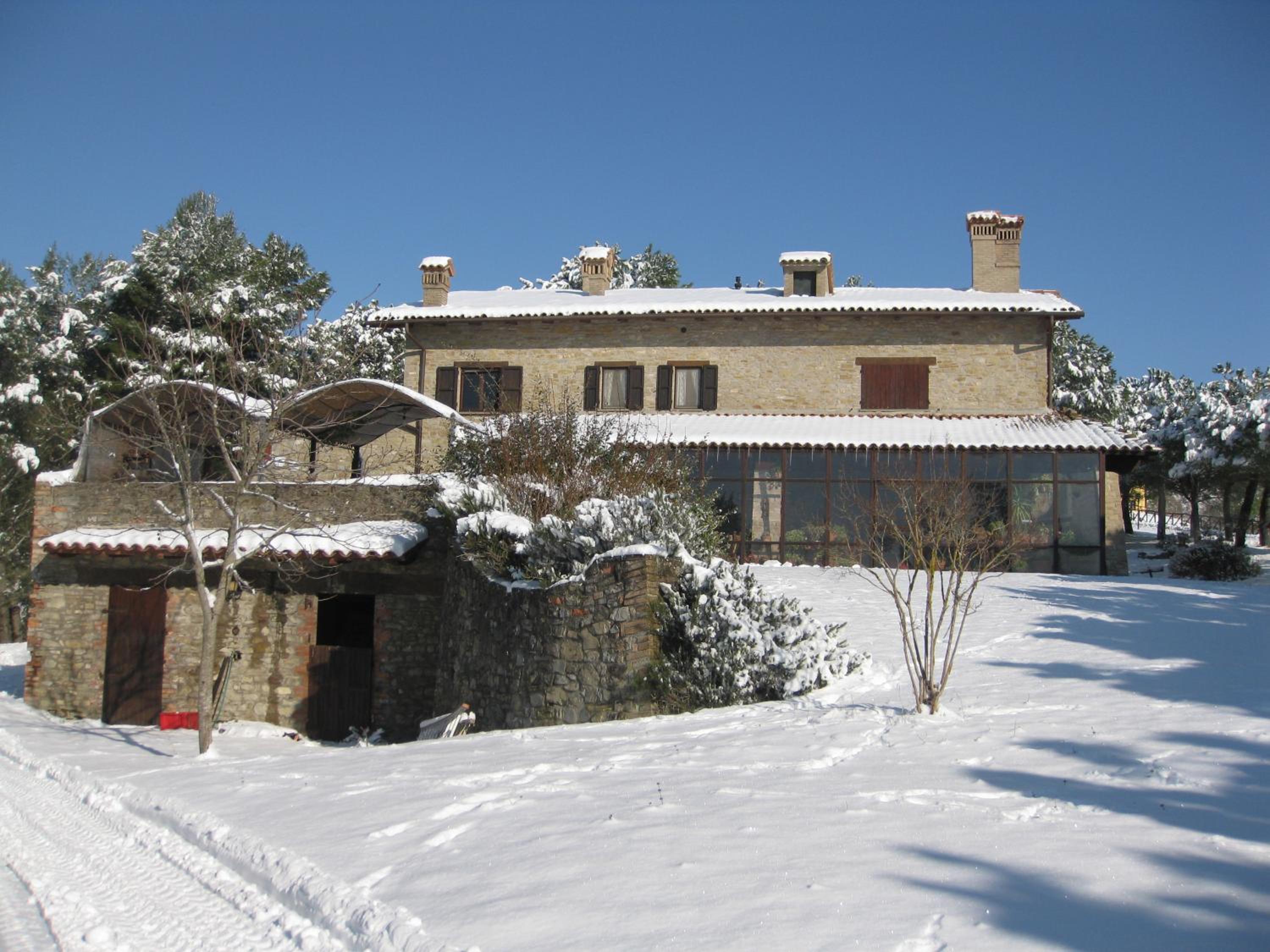 Photo 17