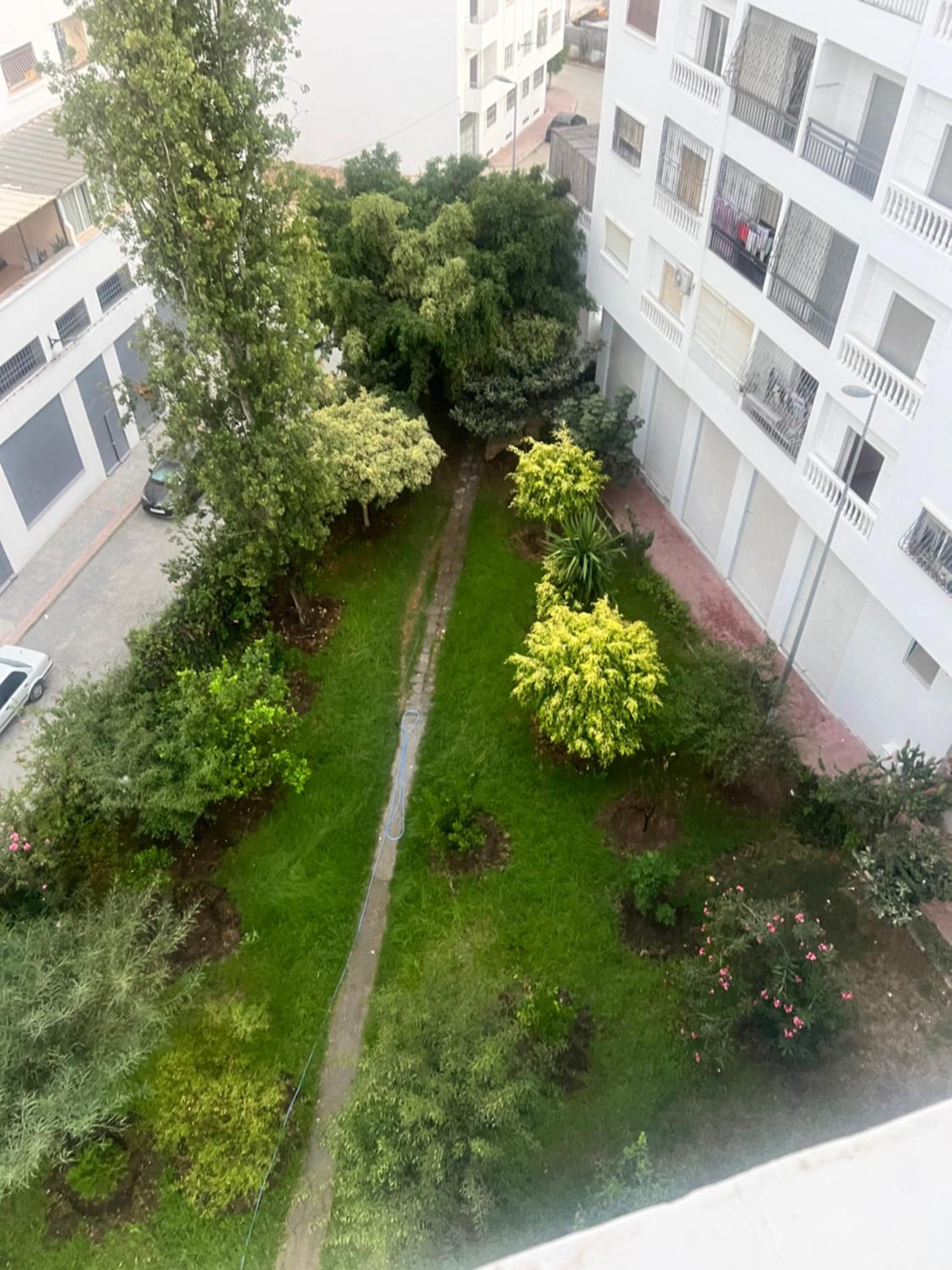 Duplex Tanja