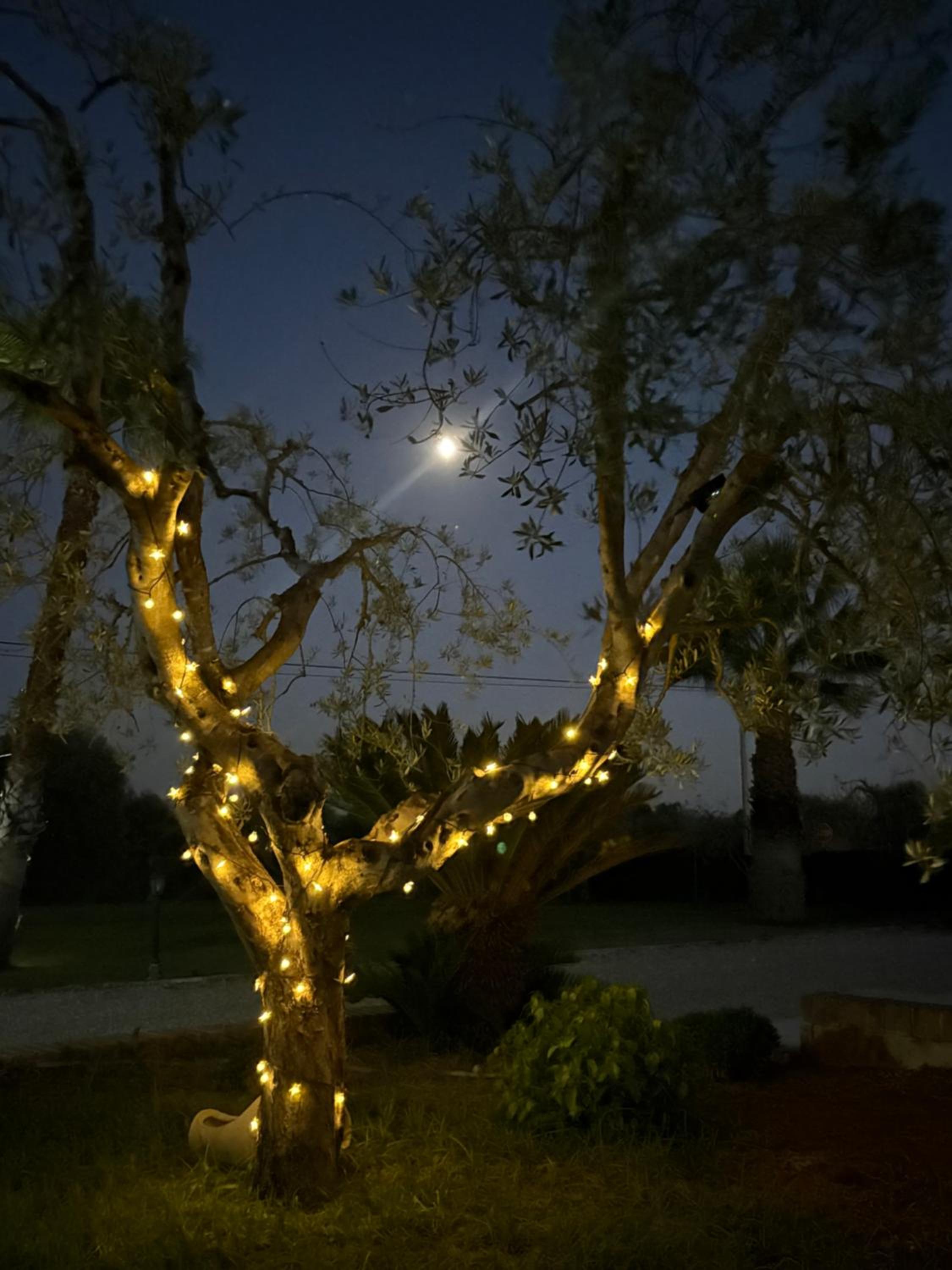 Villa Sofia Garden & Relax