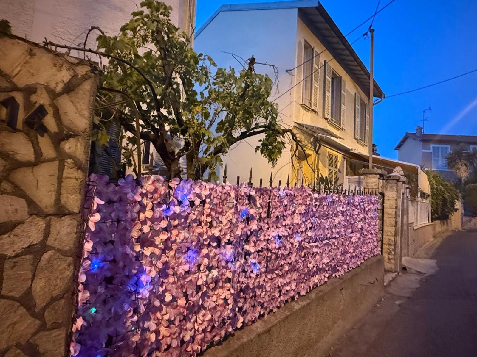Charming house near Center Nice with new air conditioner