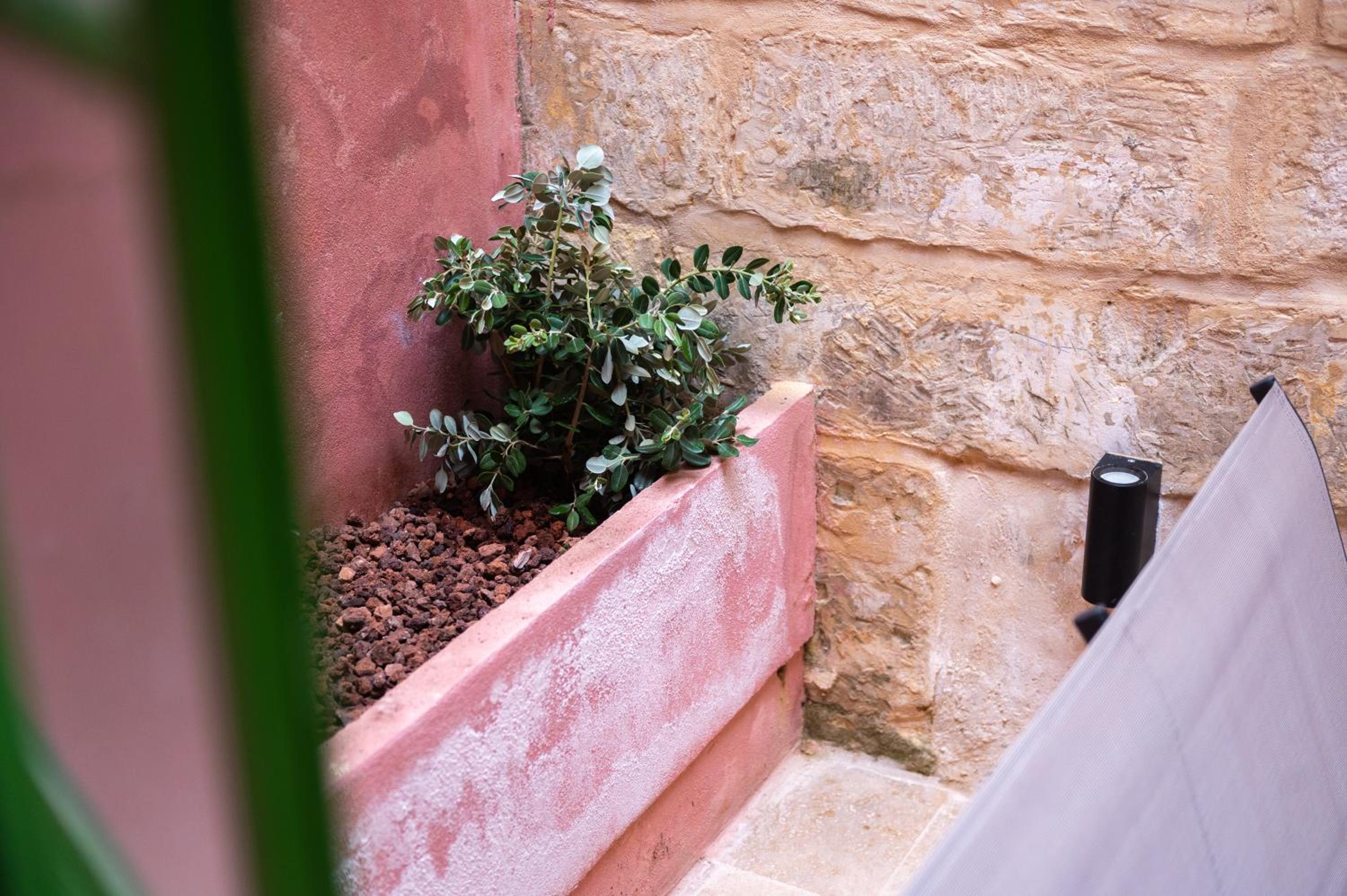 Apartment with Lush Yard - Valletta