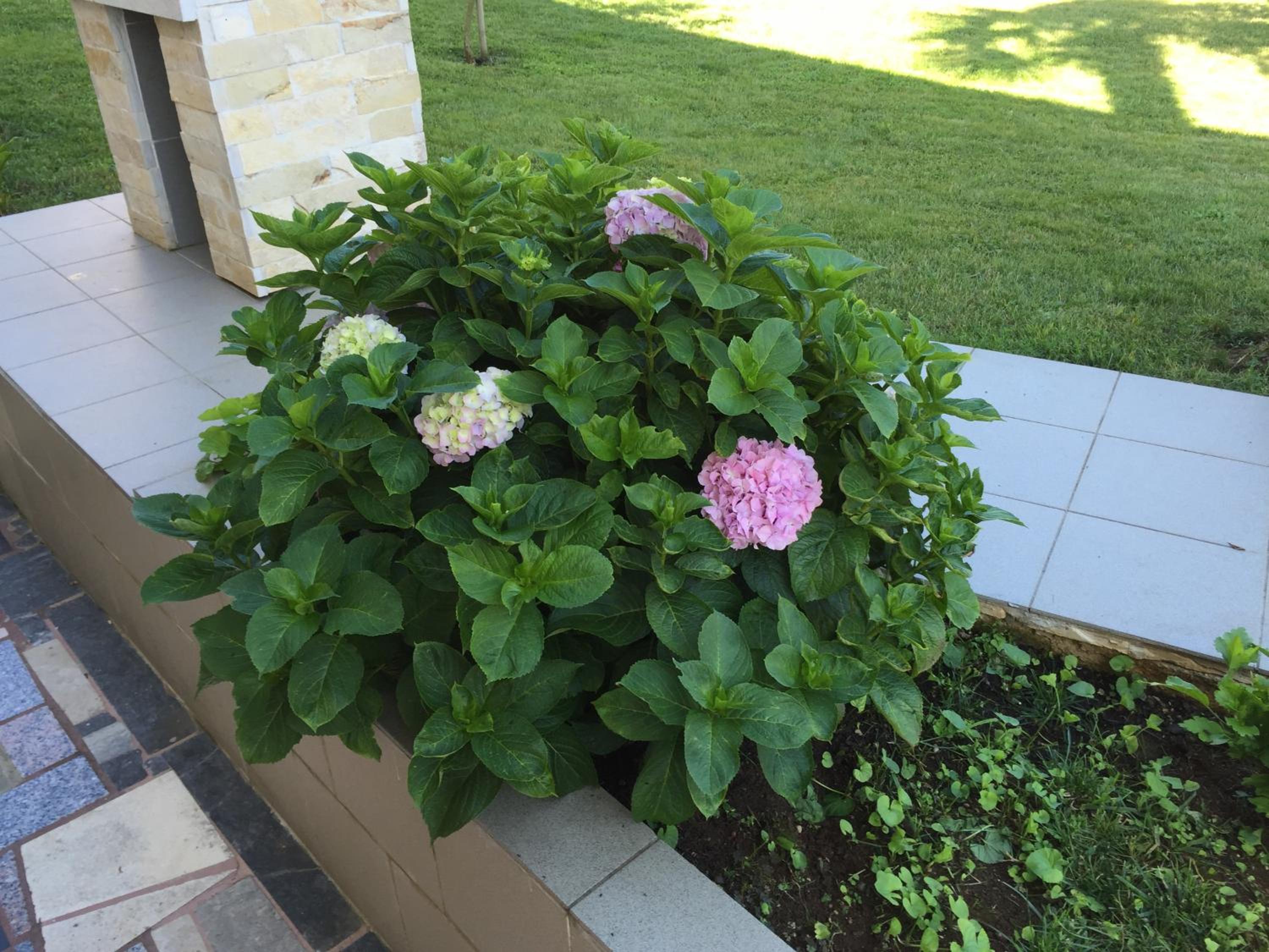 Photo 27