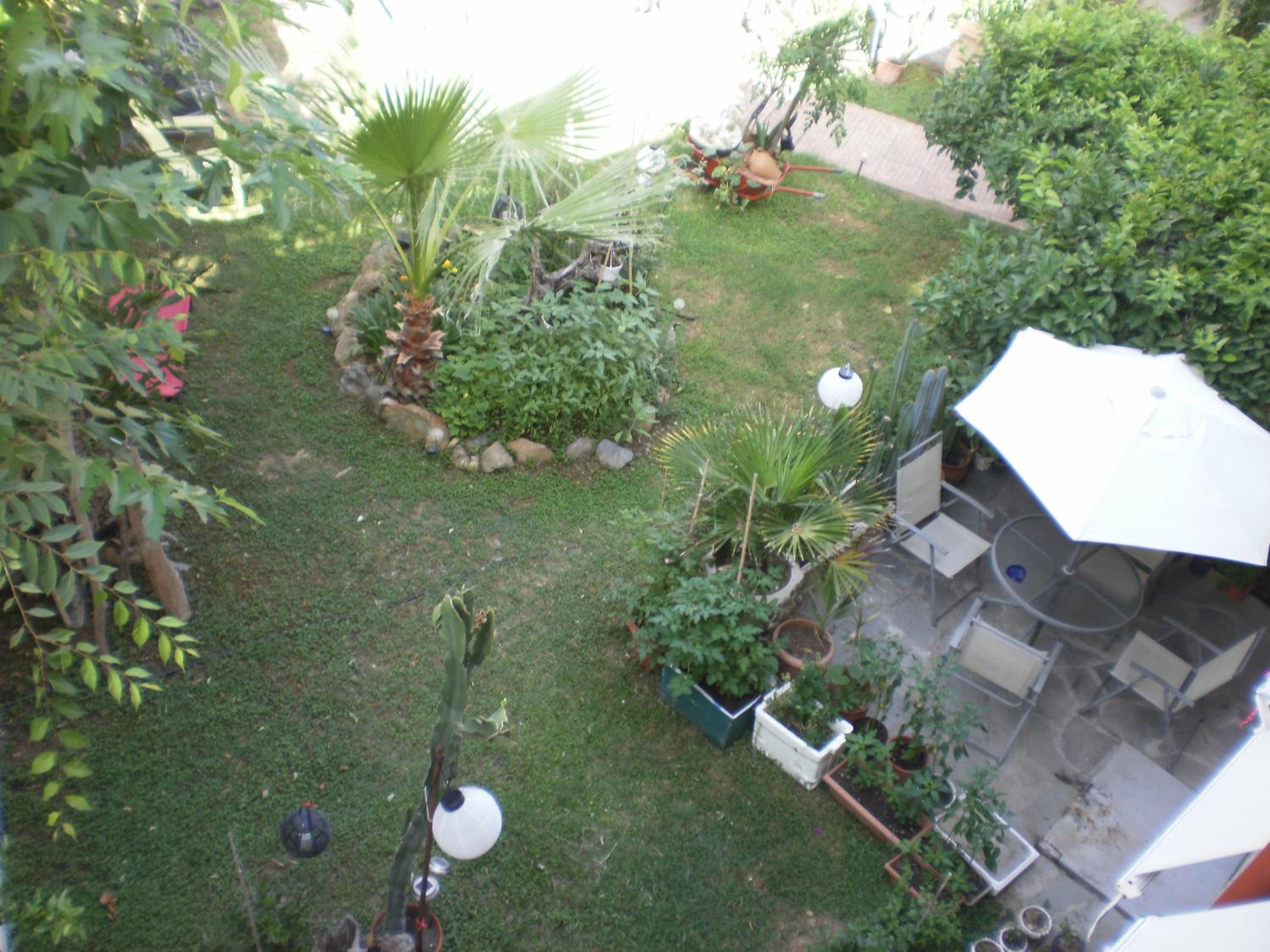 Photo 31