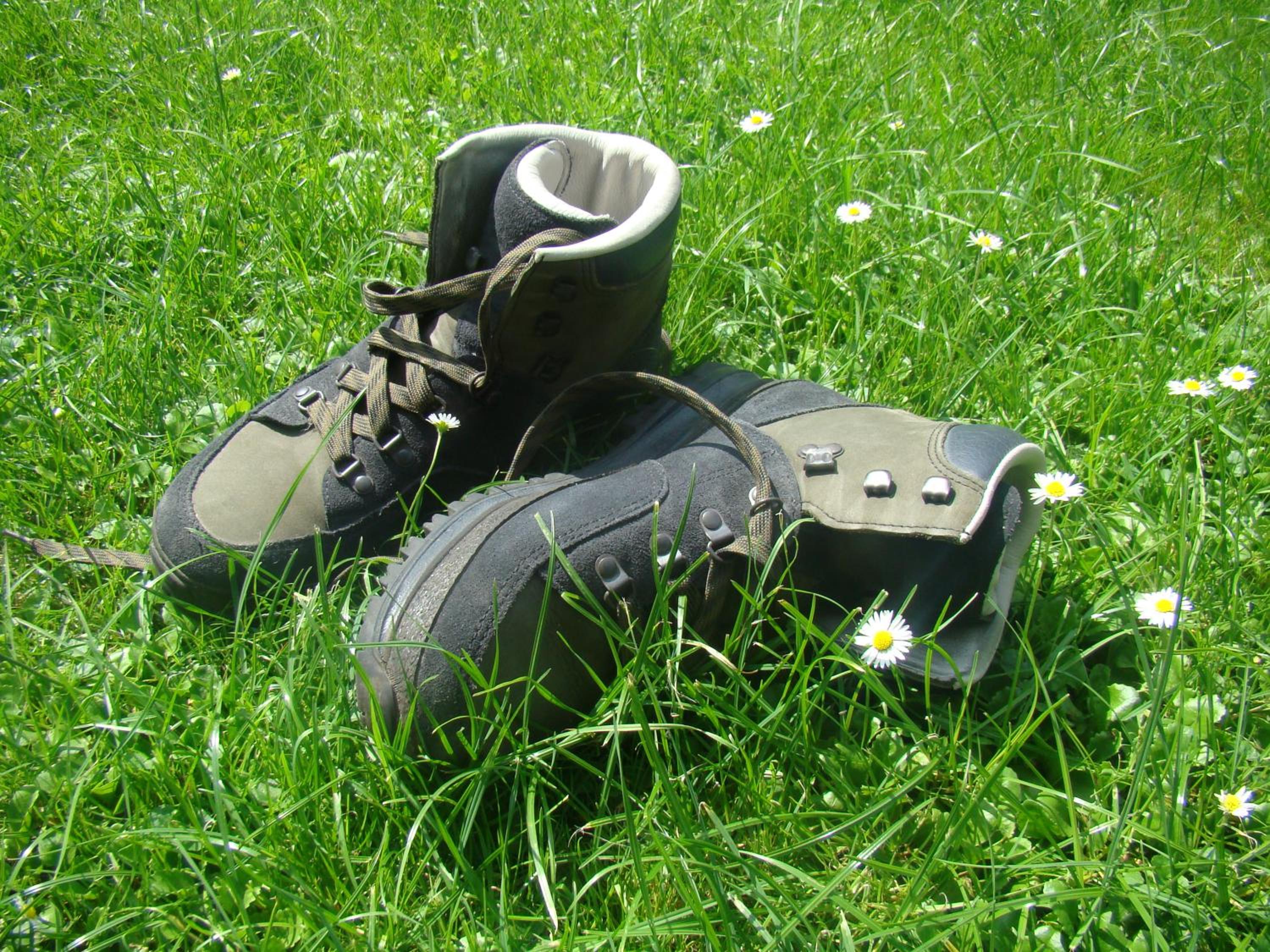 Ferienwohnungen Holder, Bilde 80