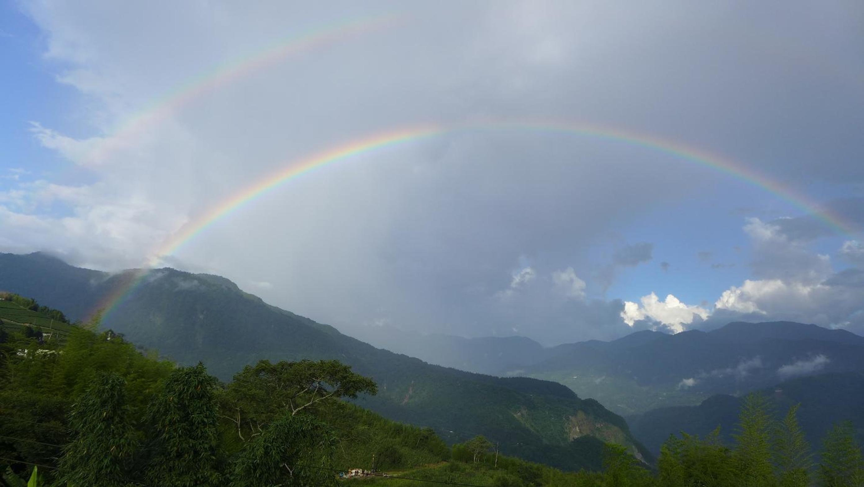 Alishan Tea Homestay