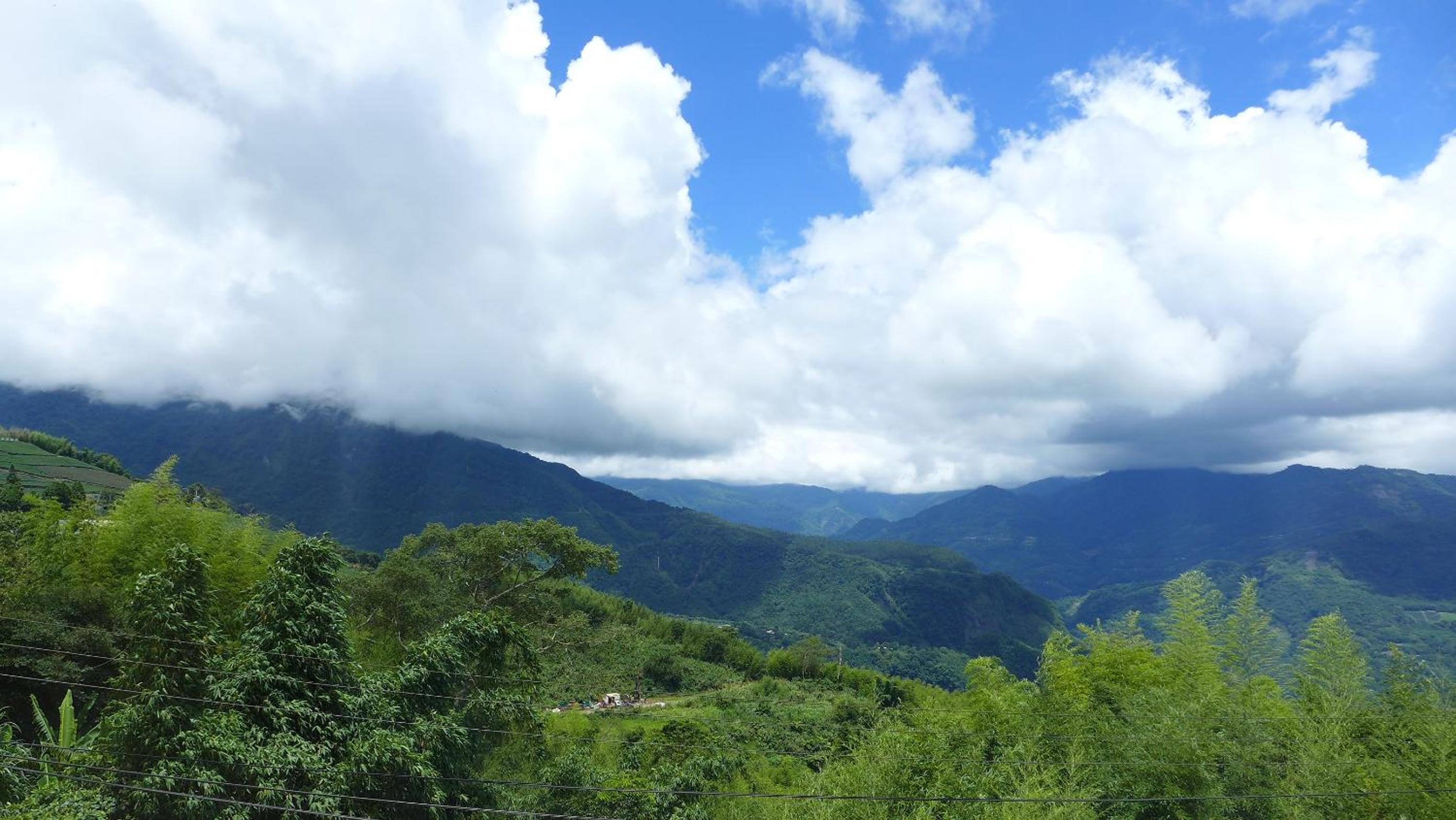 Alishan Tea Homestay