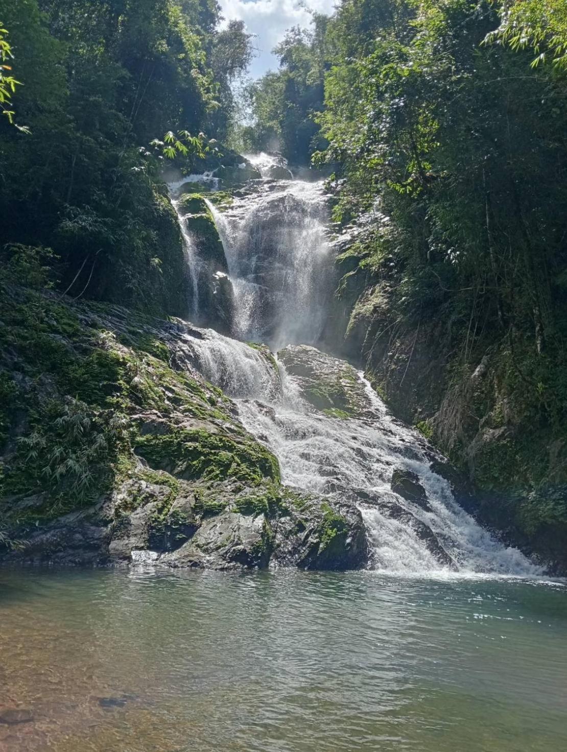 Khaosok Jungle Hostel Branch 2