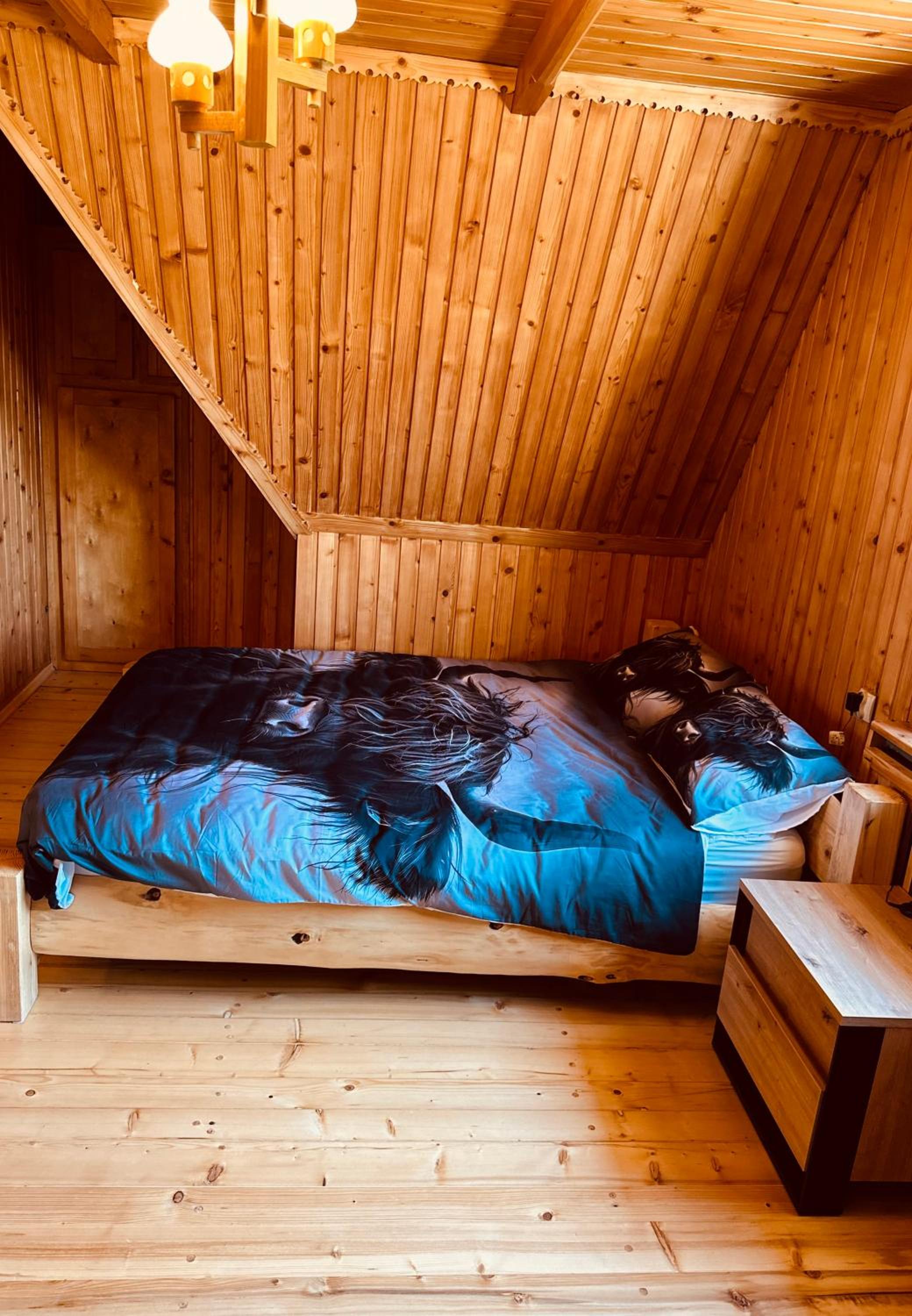 Apartamenty 1000m npm Murzasichle