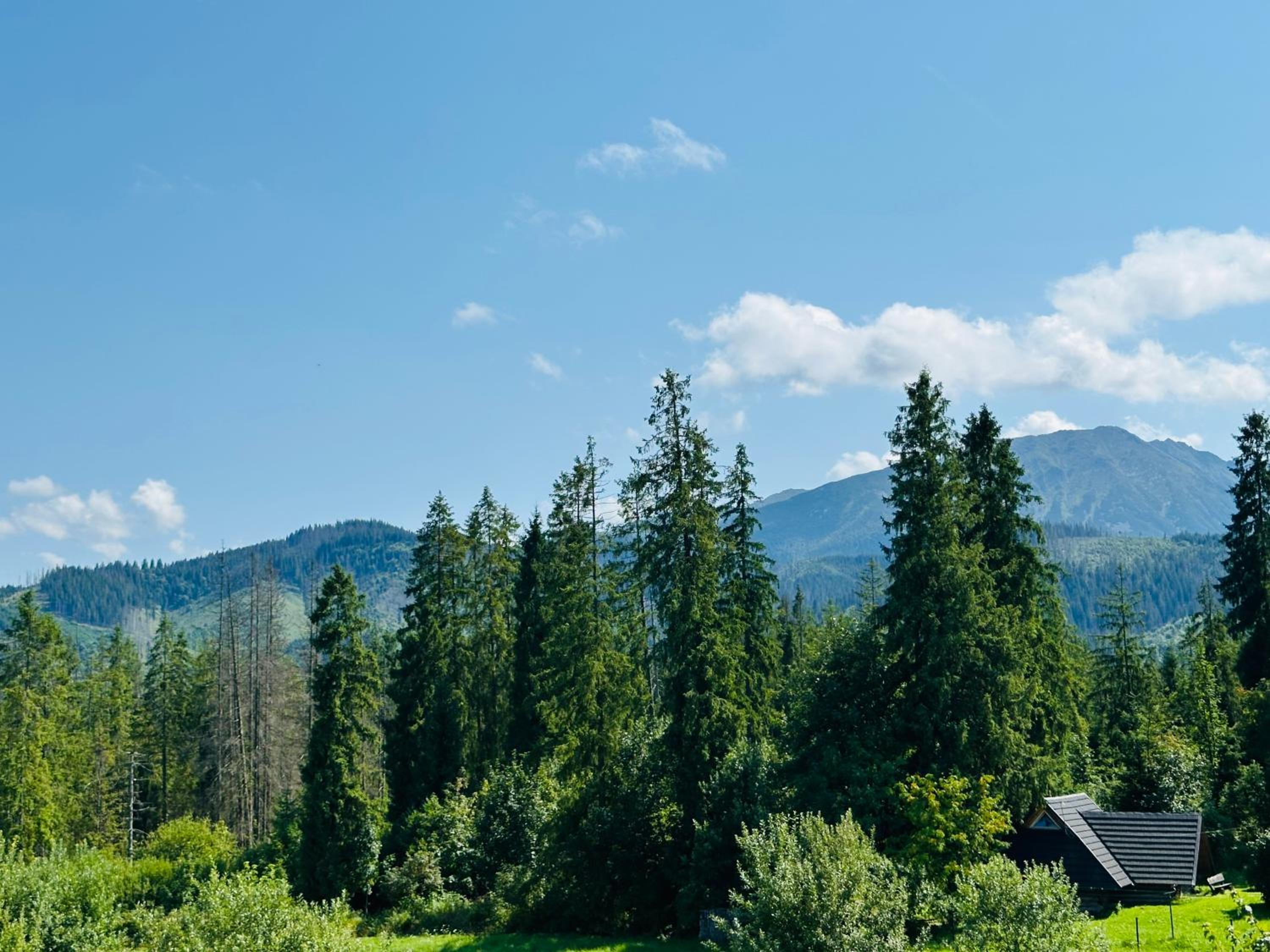 Apartamenty 1000m npm Murzasichle