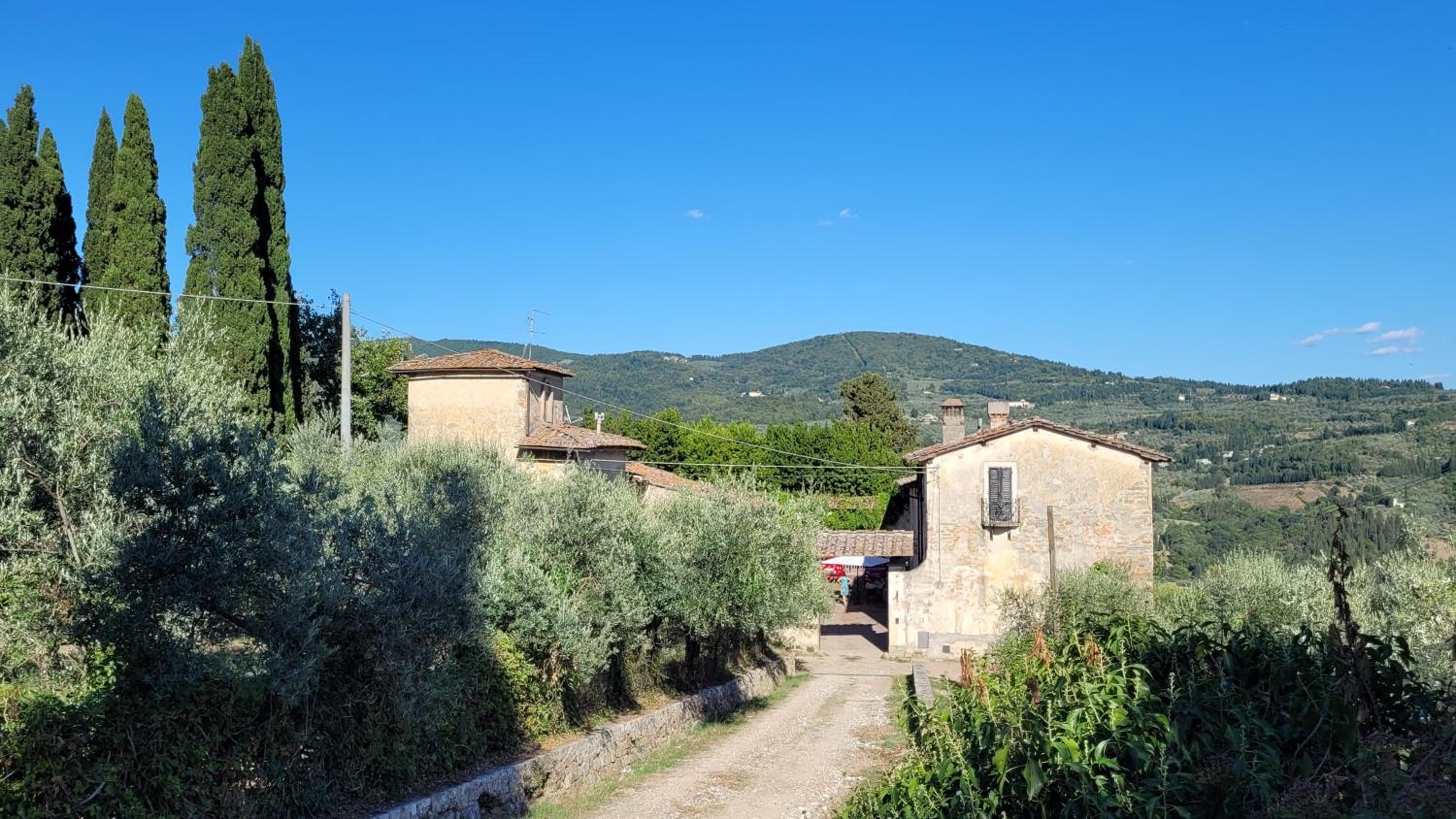 Medici Villa with Gardens 7 min from Florence