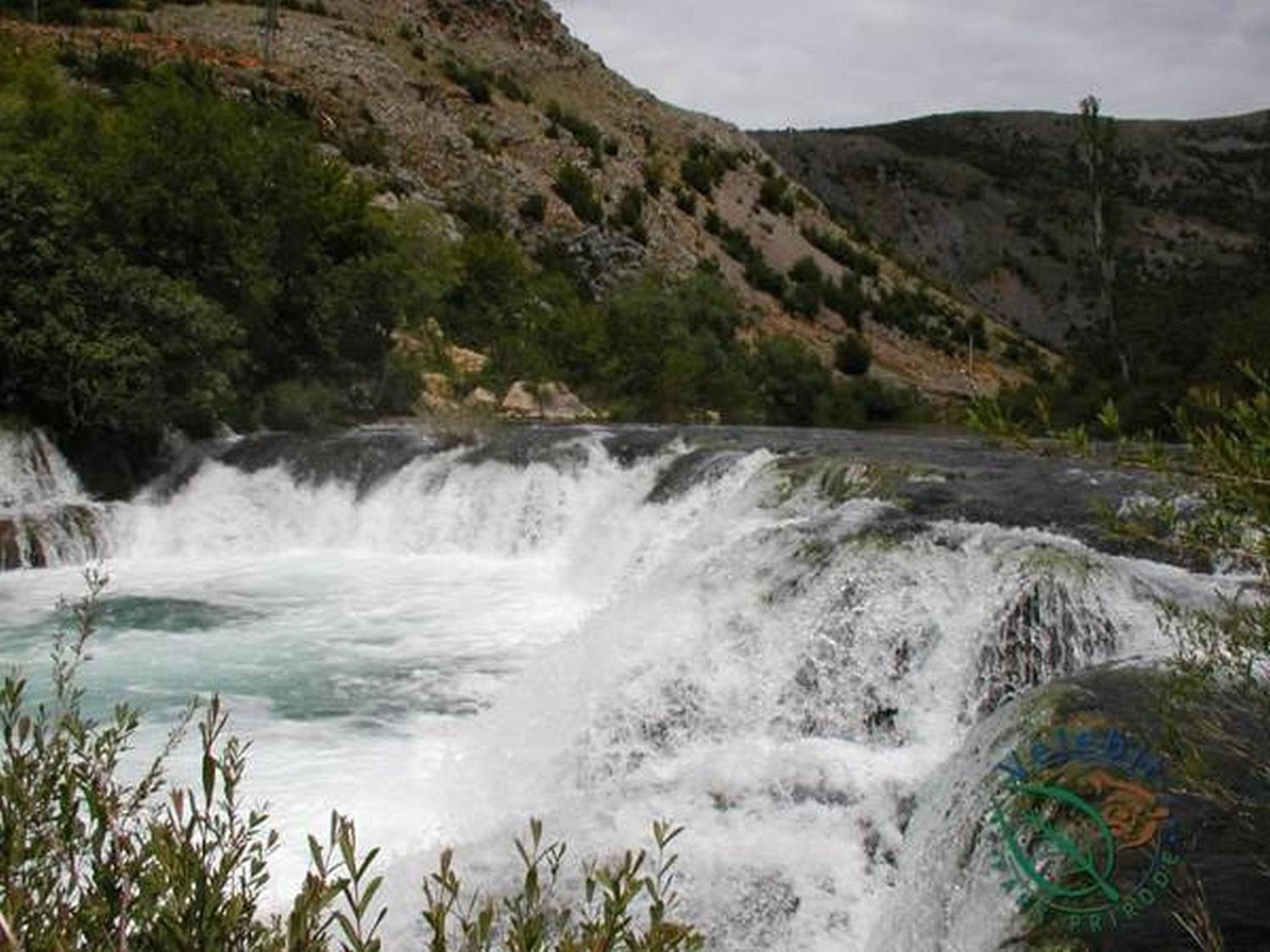 Photo 50