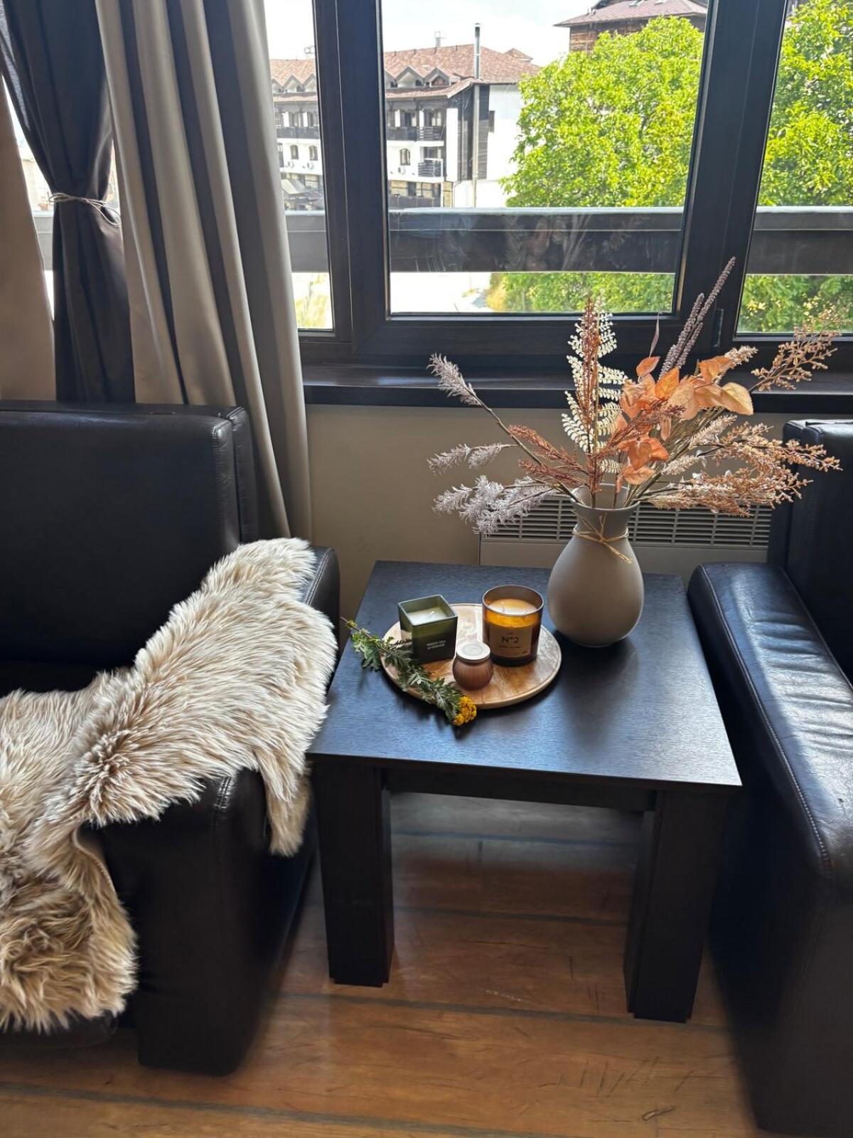 Alpine Lodge Chalet in Bansko