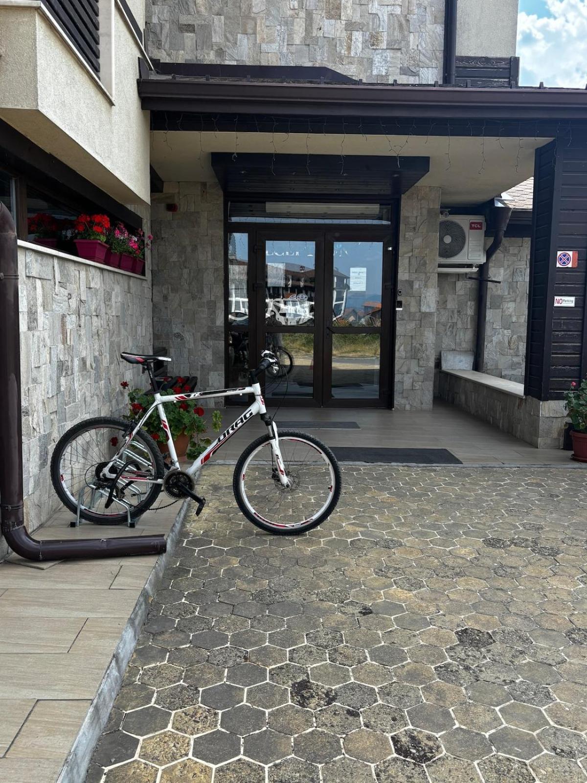 Alpine Lodge Chalet in Bansko