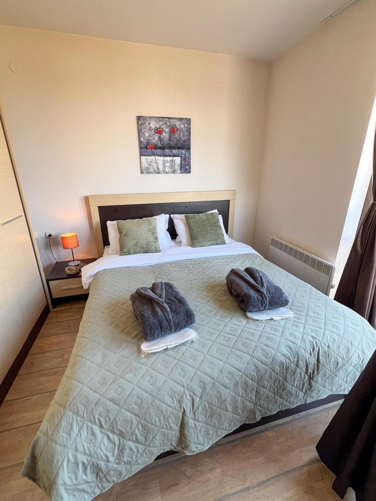 Alpine Lodge Chalet in Bansko