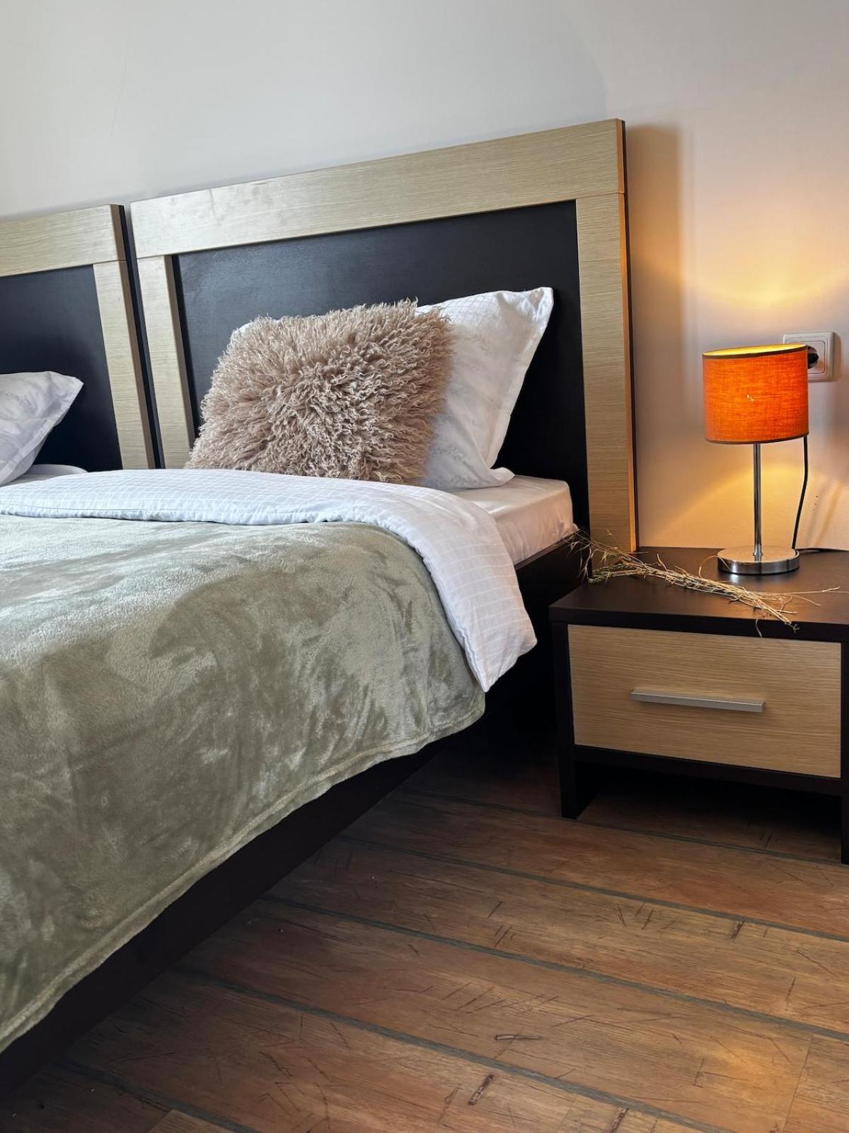 Alpine Lodge Chalet in Bansko