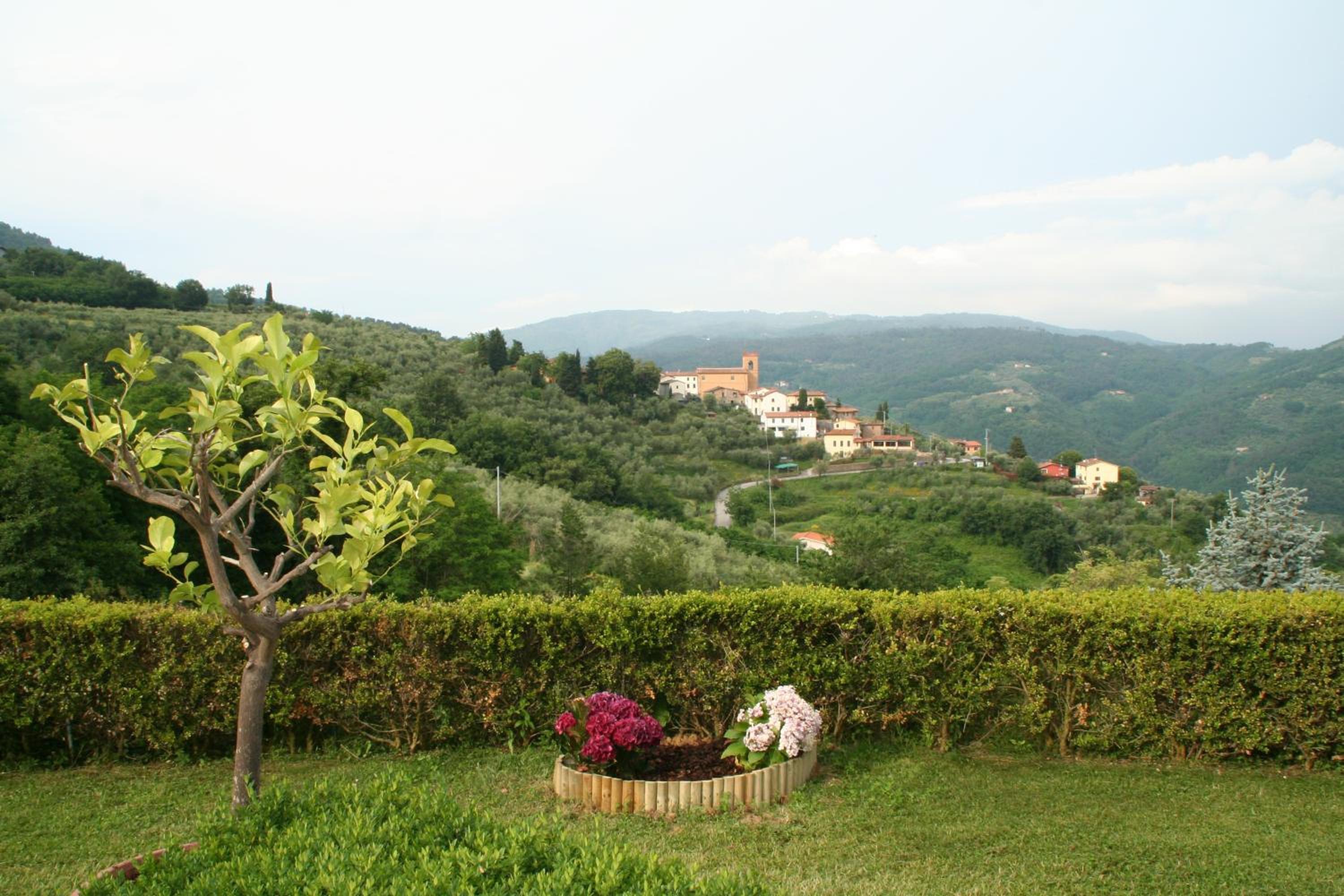 Photo 12