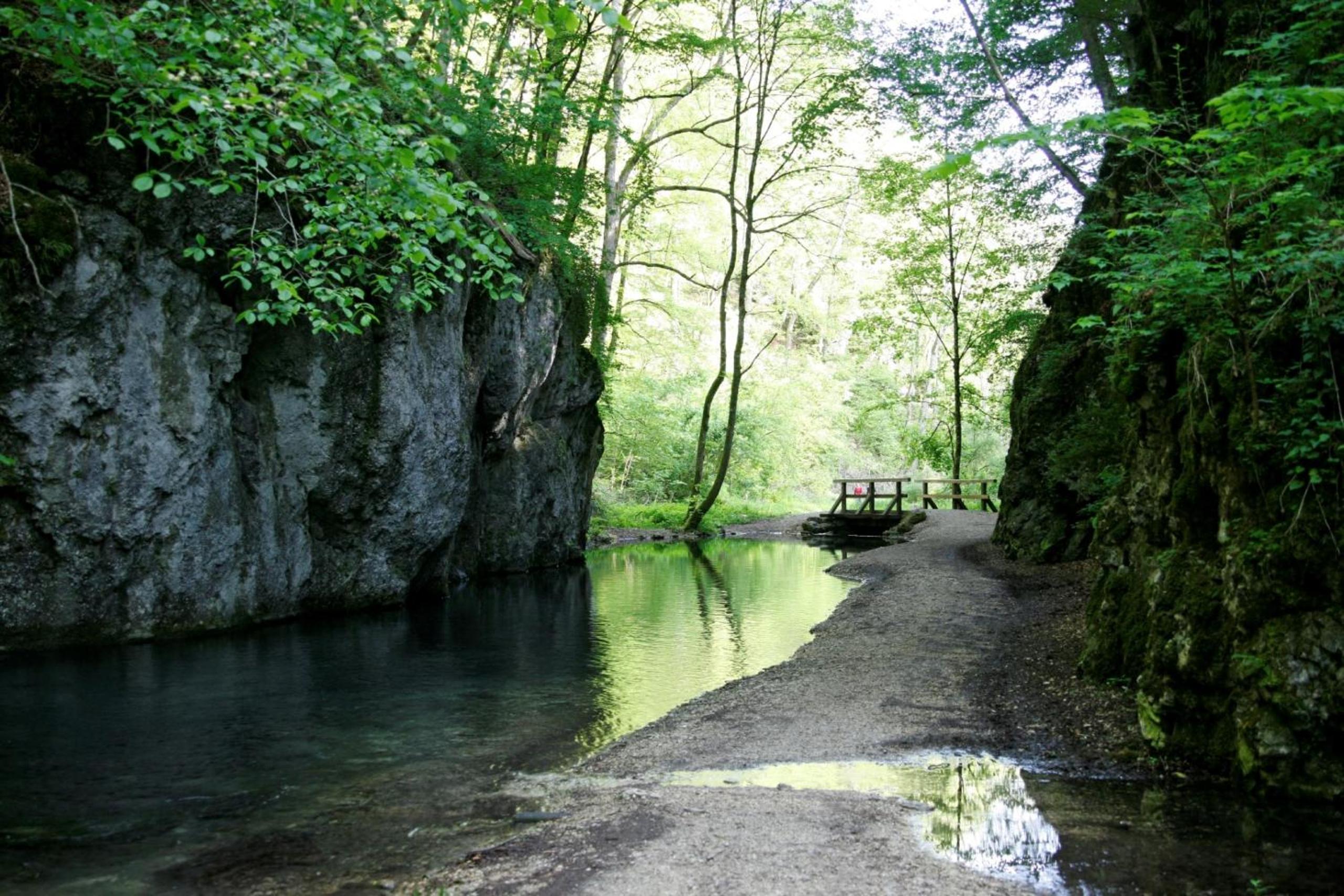 Ferienwohnungen Holder, Bilde 116