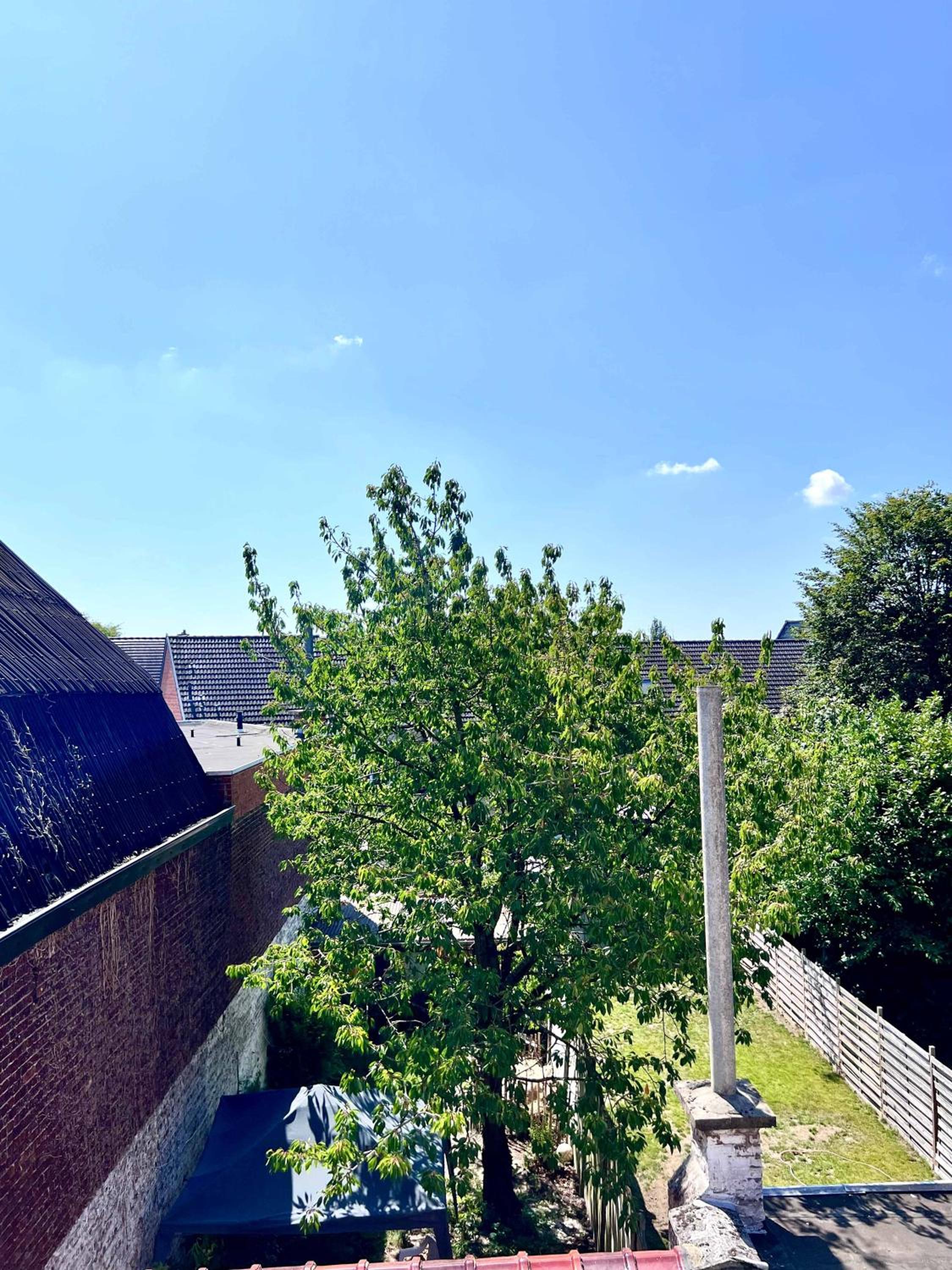 Cosy haven in Aalst with terrace a green haven