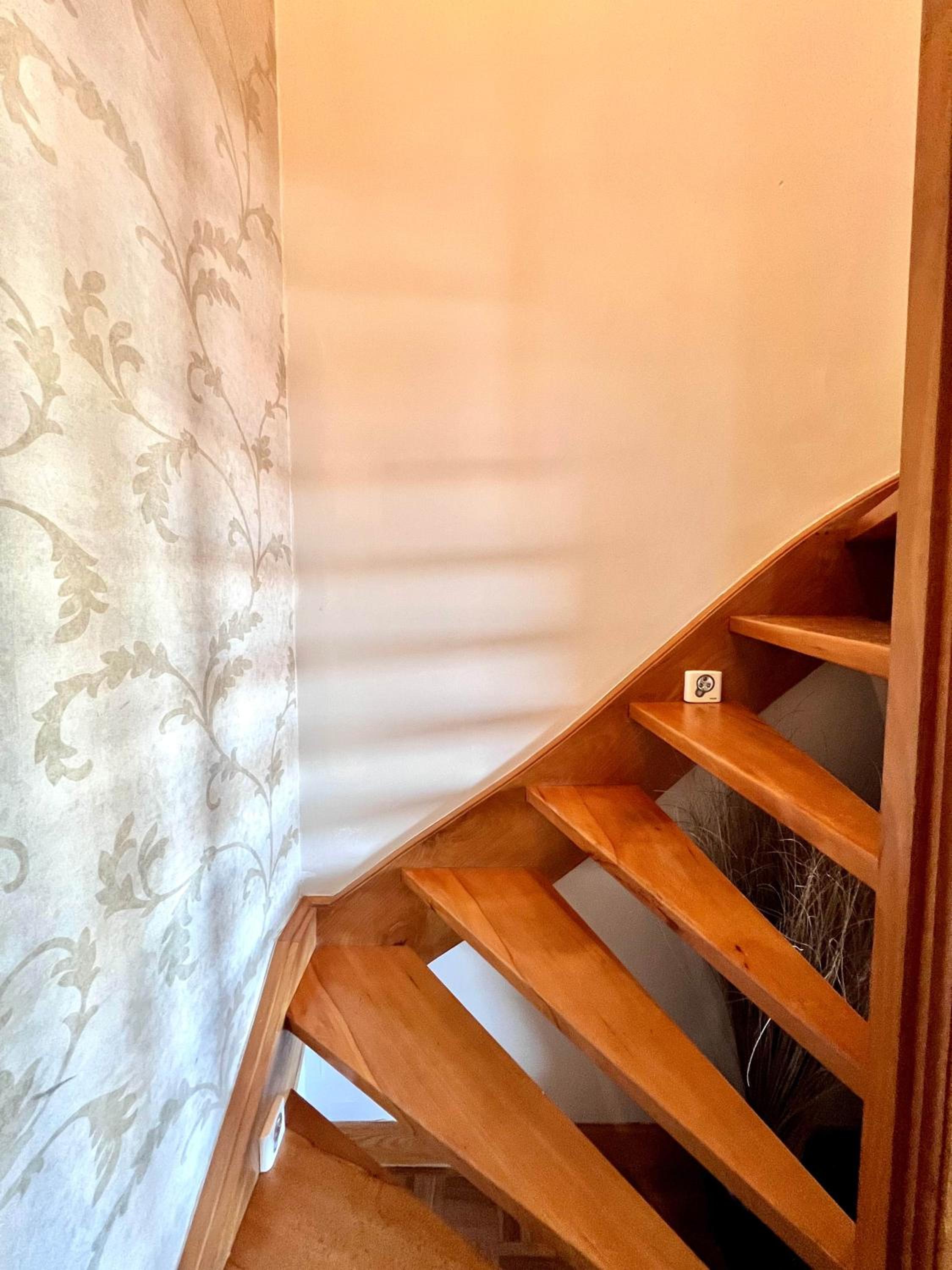 Cosy haven in Aalst with terrace a green haven
