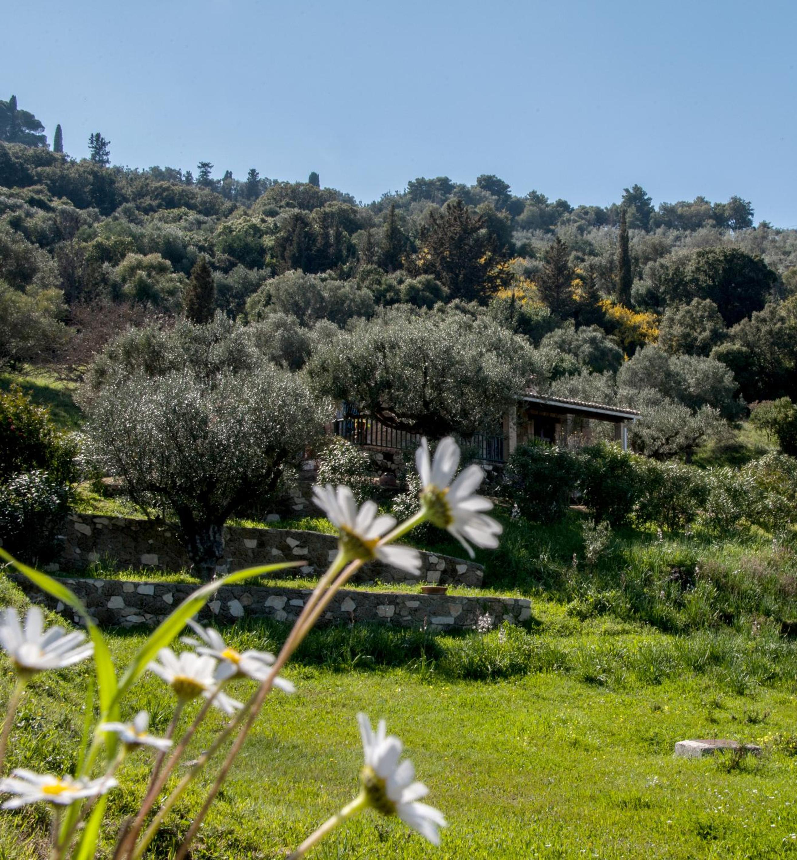 Villa Collina