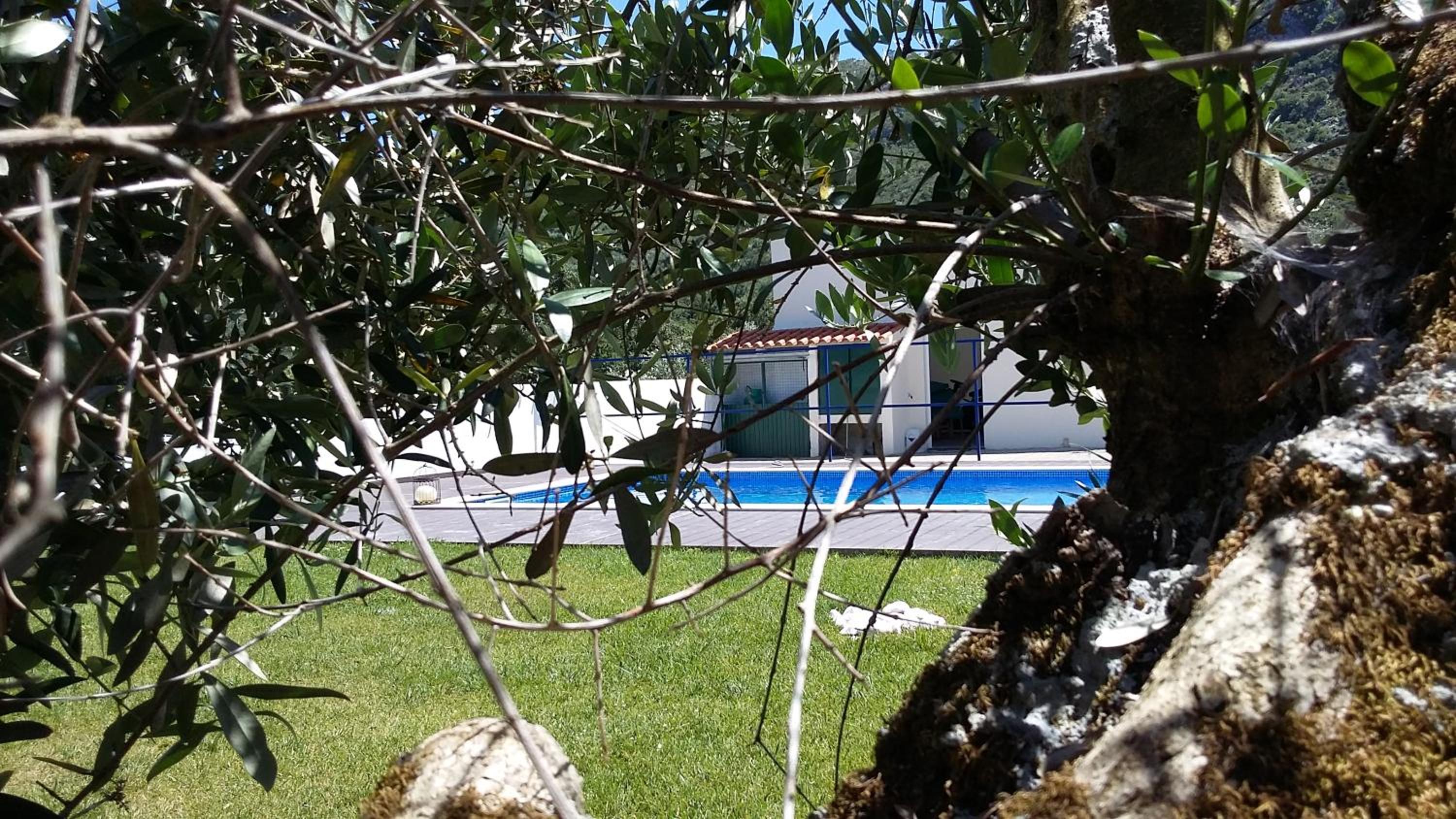 Casa Das Oliveiras view 4