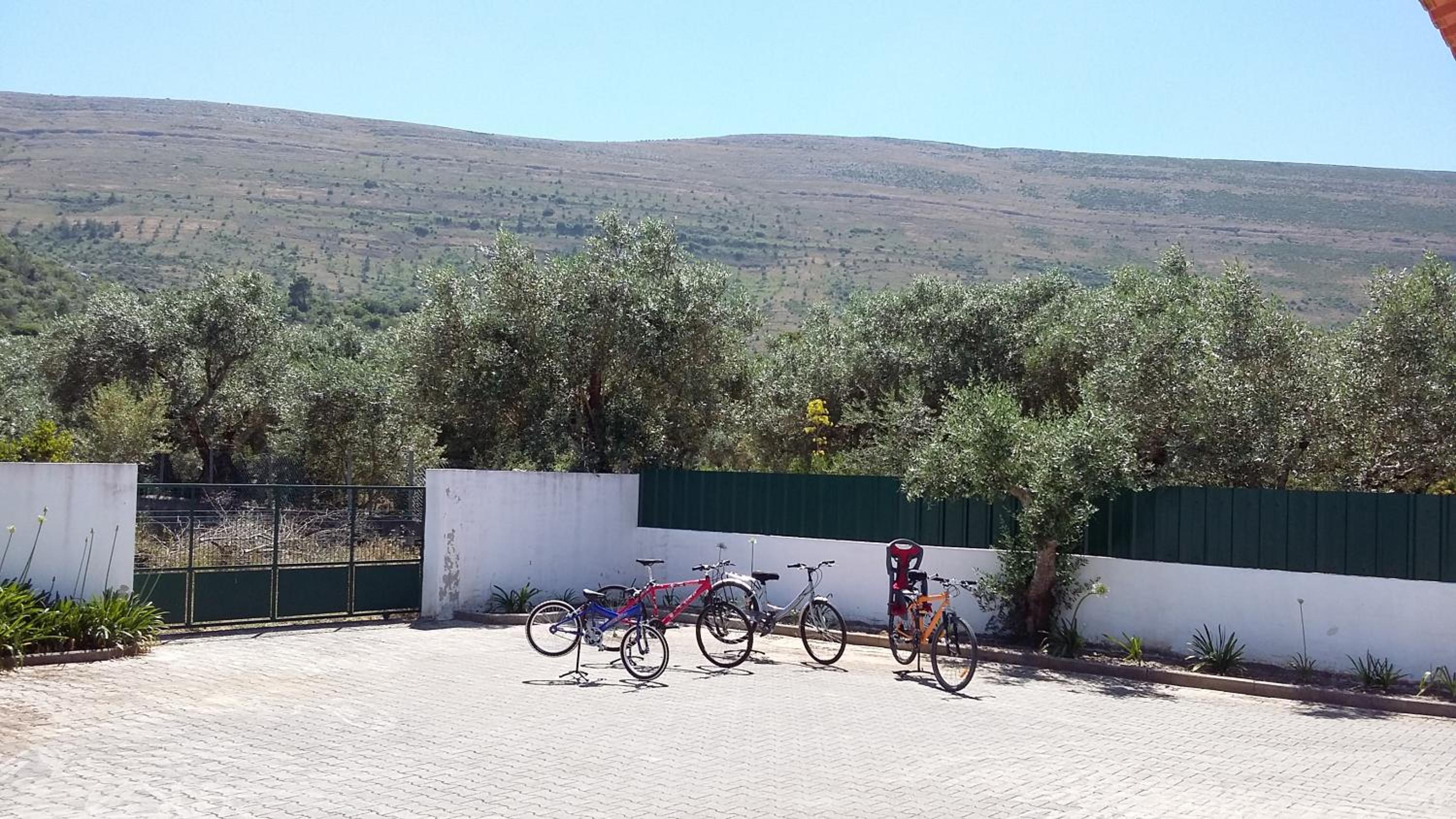 Casa Das Oliveiras view 5