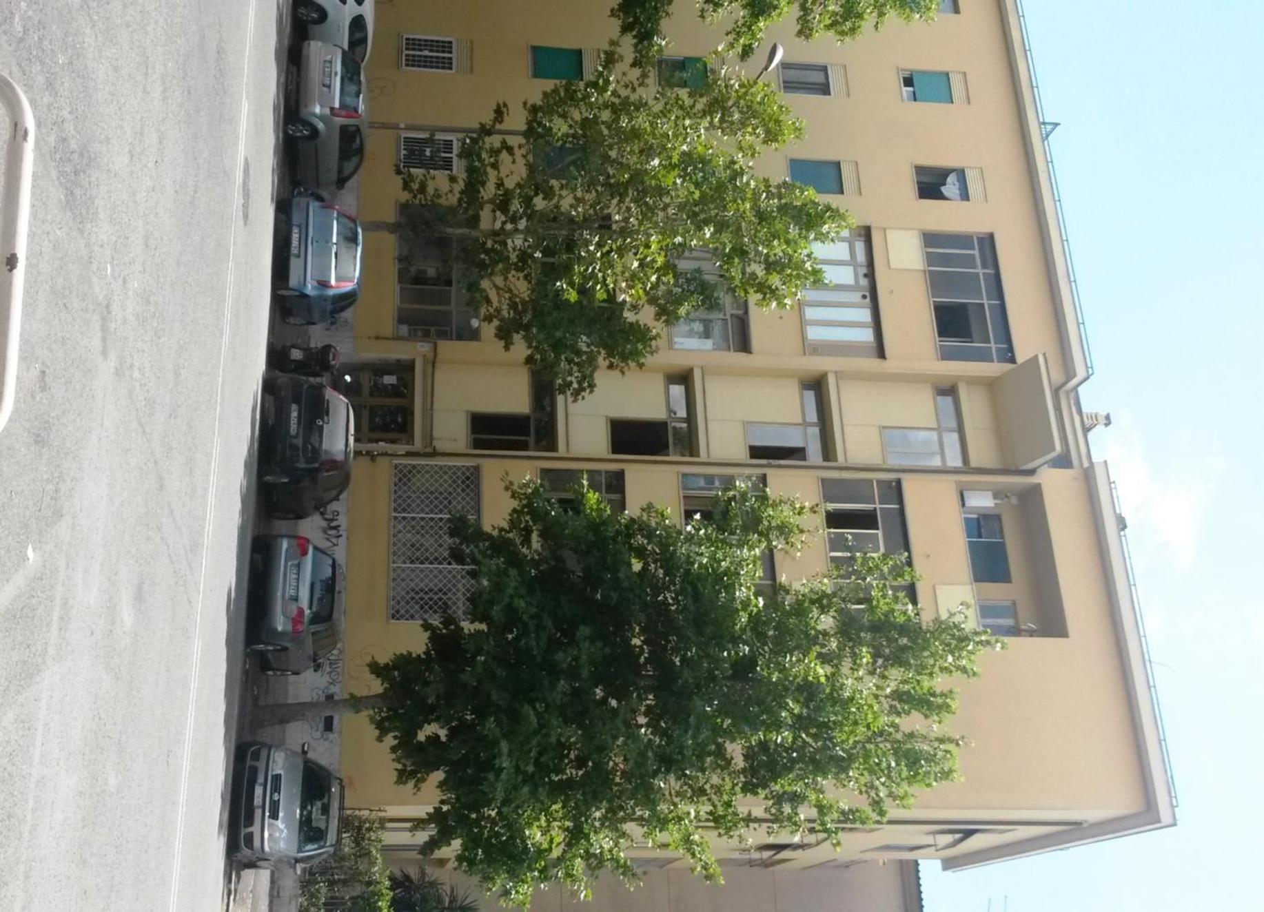 Donna Lavinia a Cinecittà