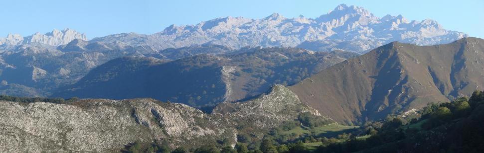 Photo 47