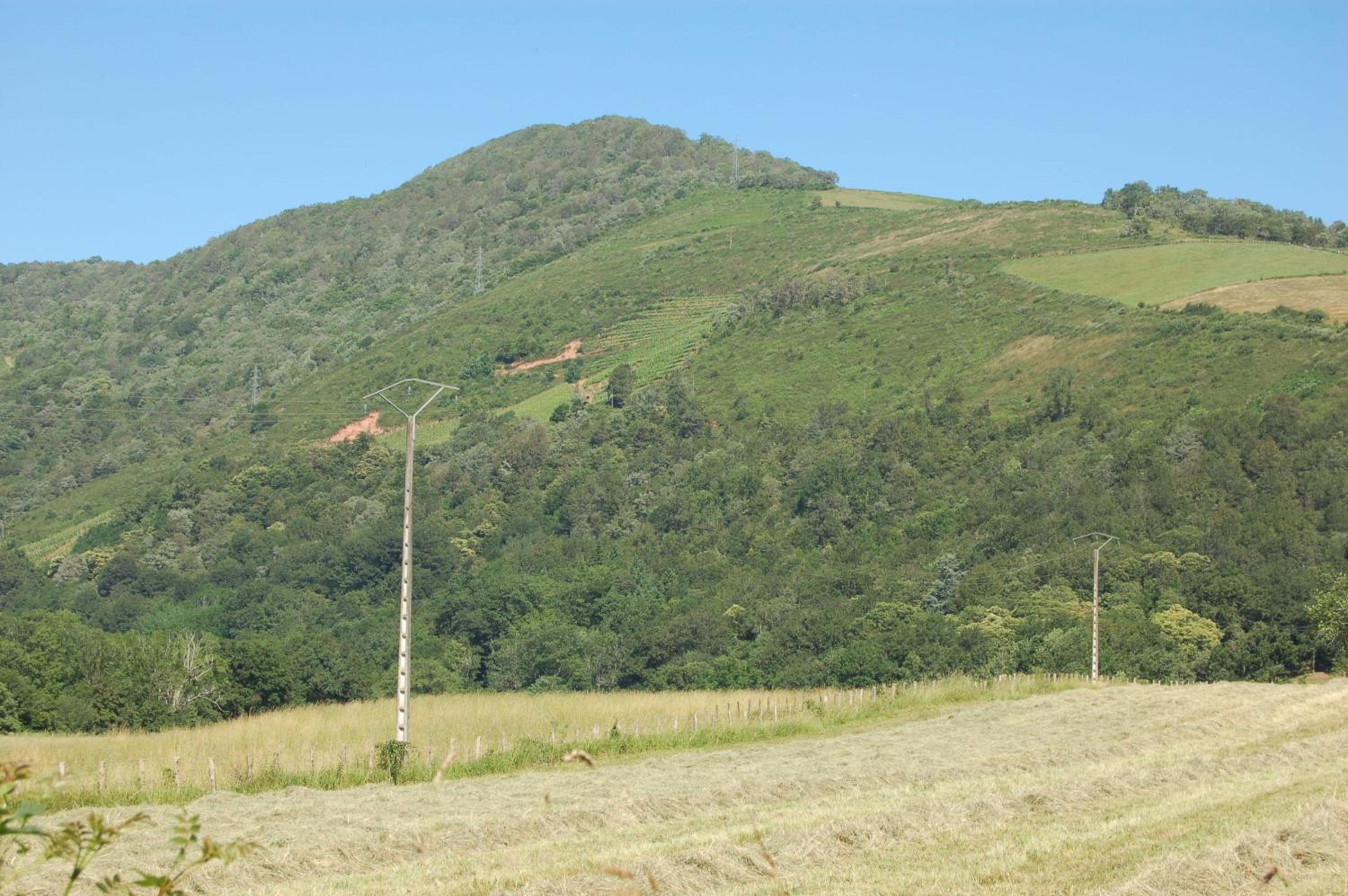 Photo 10
